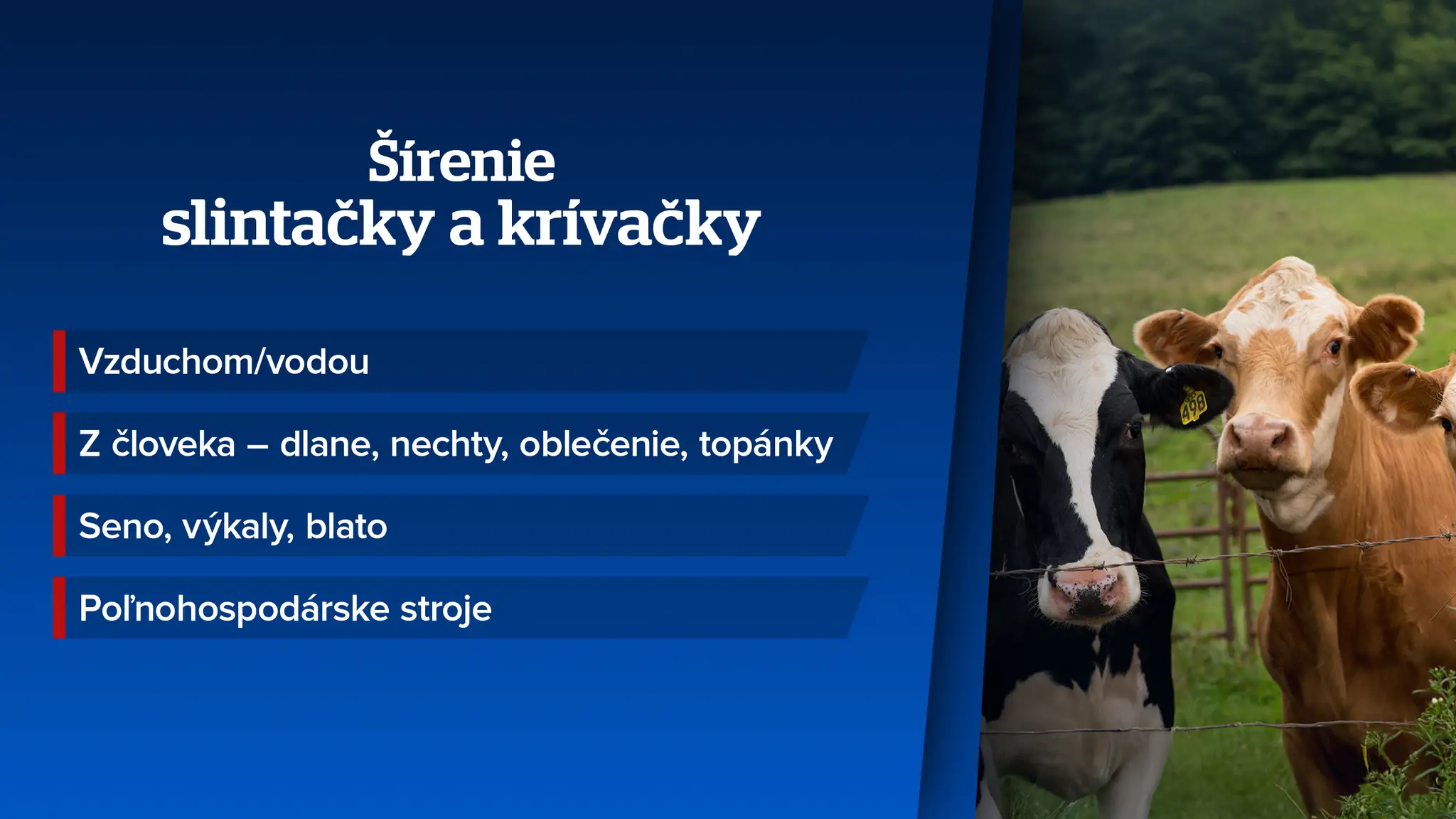 Šírenie slintačky a krívačky