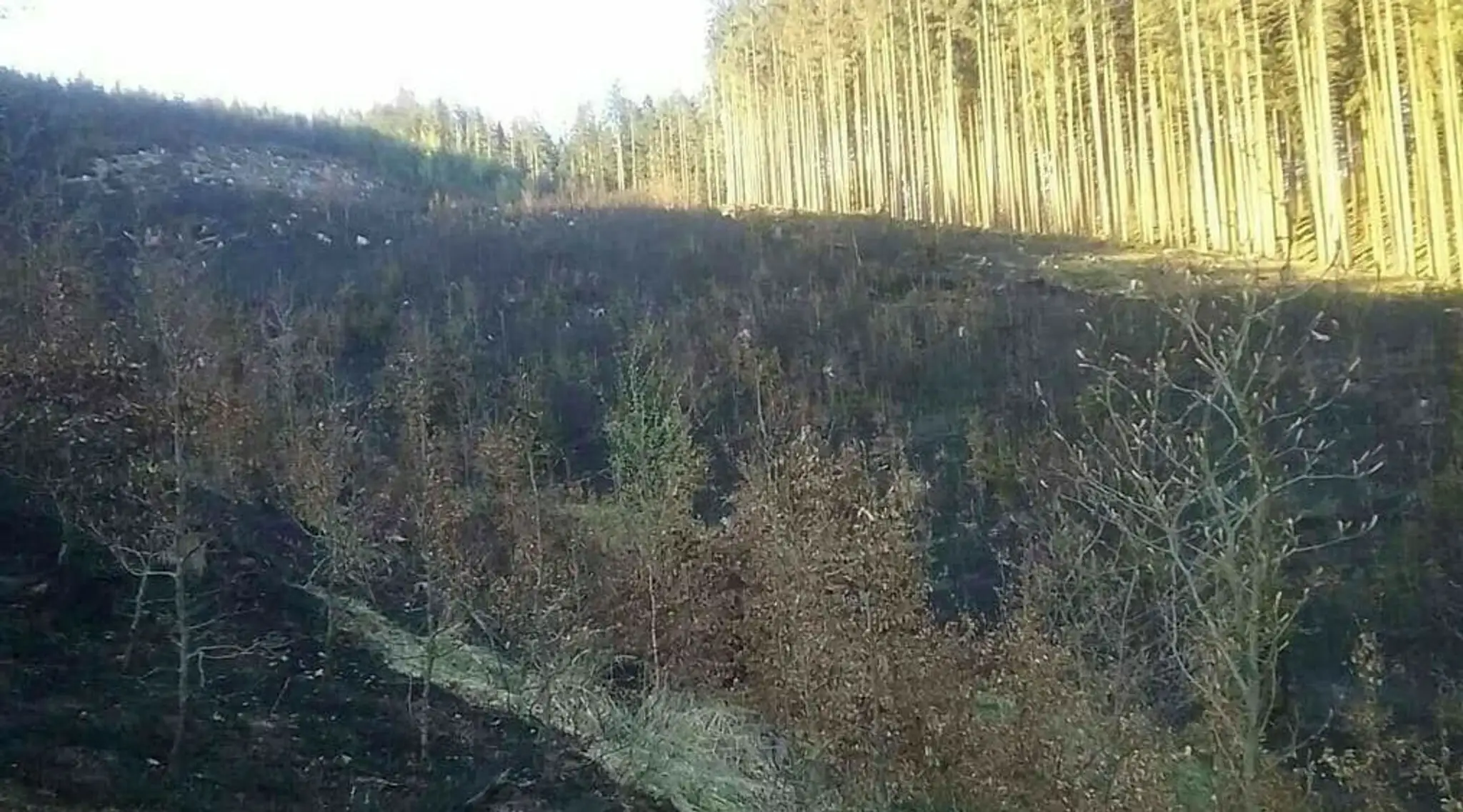 Požiar pri obci Makov.