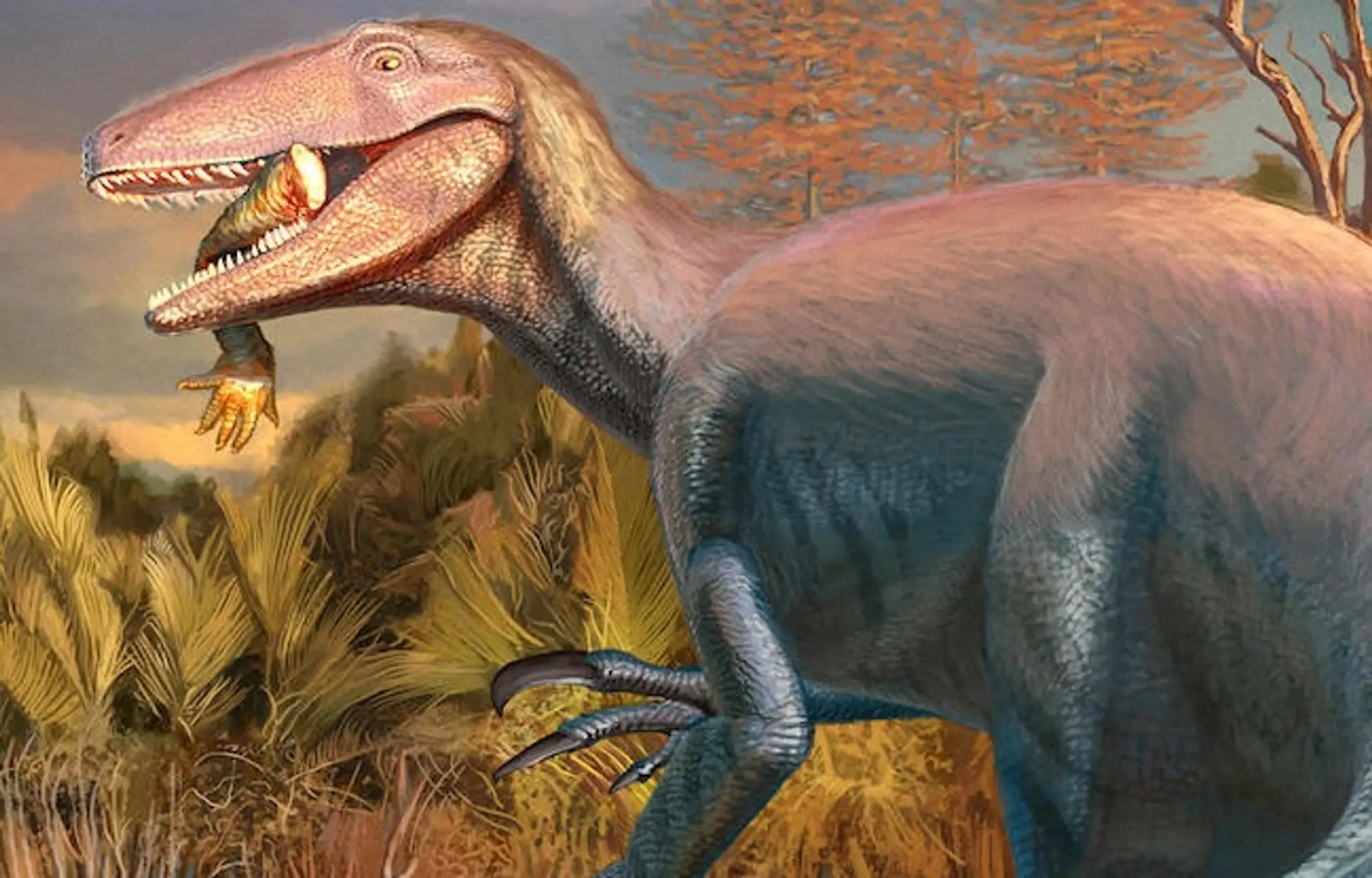 Joaquinraptor casali.