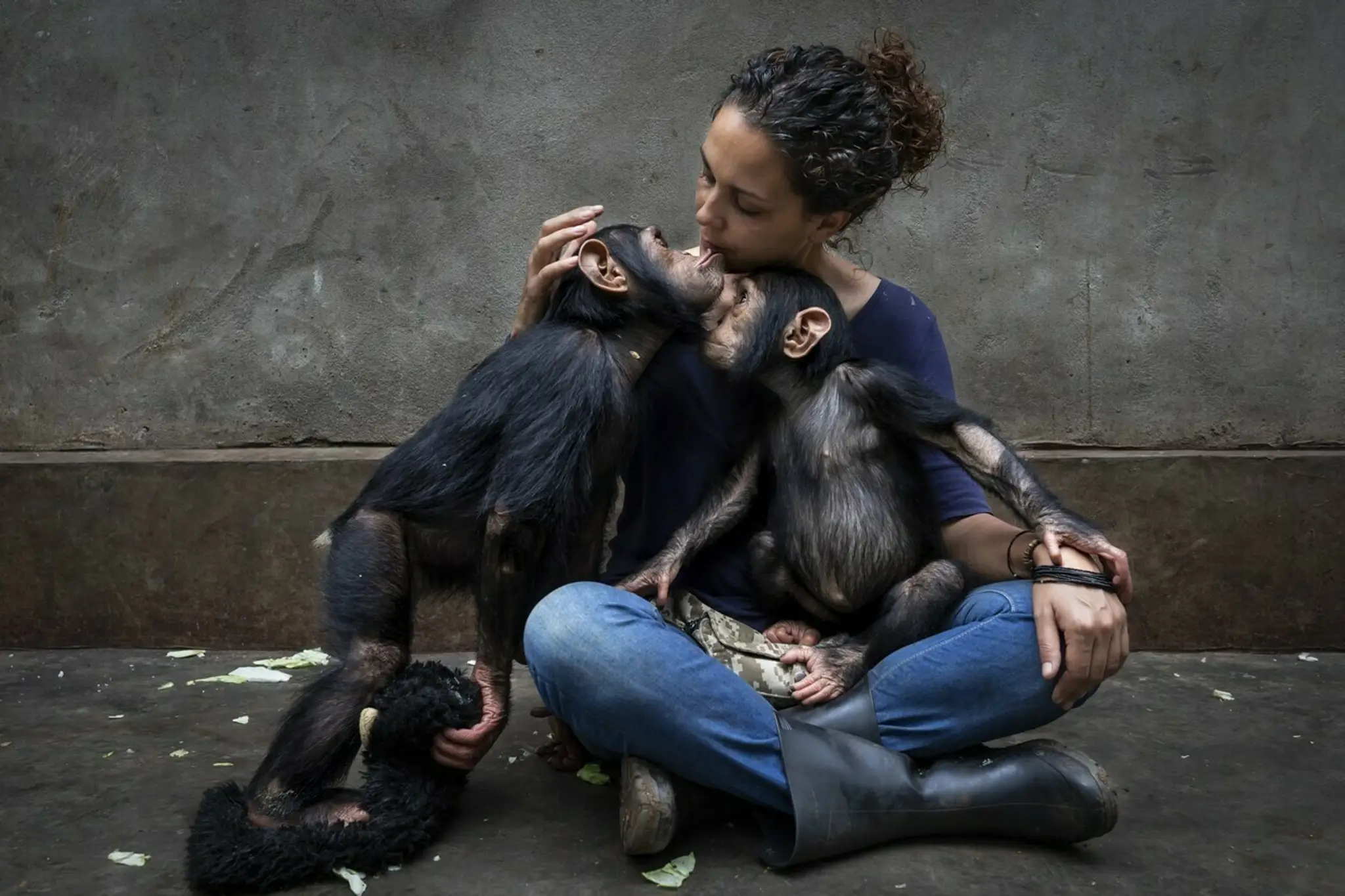 Víťazom v kategórii Fotorpeortáž sa stal Brent Stirton z Juhoafrickej republiky, Vytvoril dokument veterinárneho centra, ktoré s