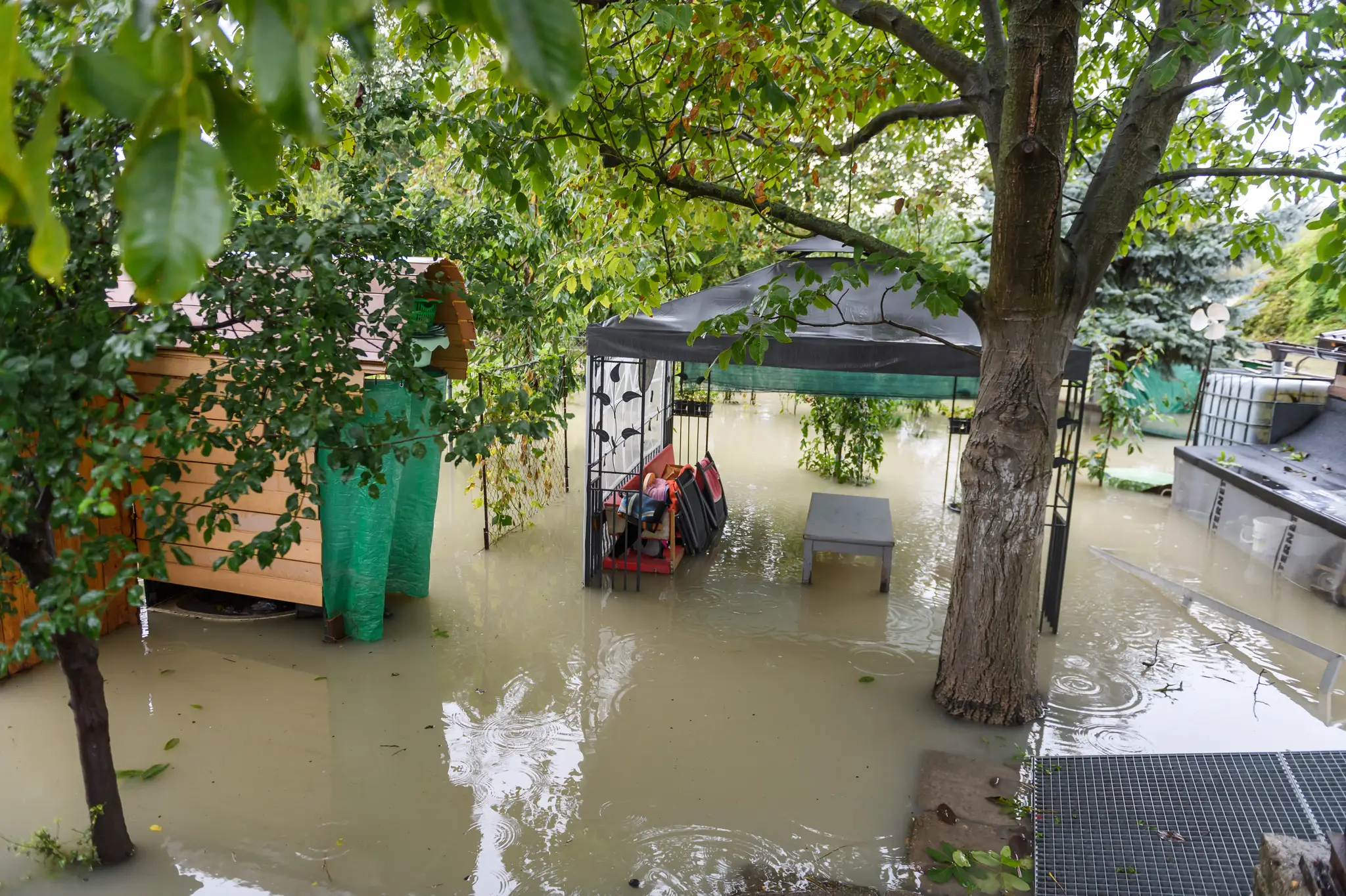 Zaplavené záhradky riekou Morava na Kremeľskej ceste medzi Devínom a Devínskom Novou Vsou v Bratislave.