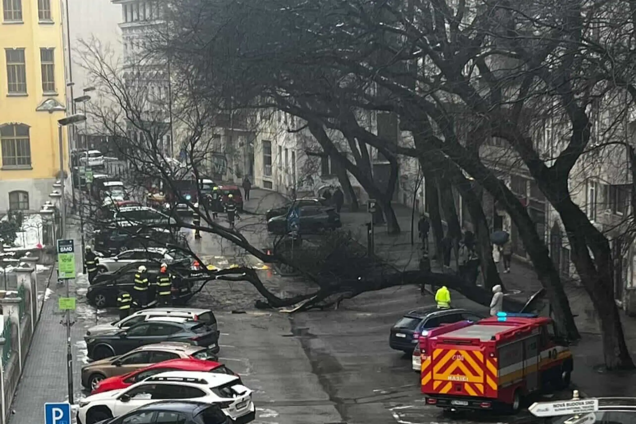 Na Grosslingovej ulici sa zrútil mohutný strom