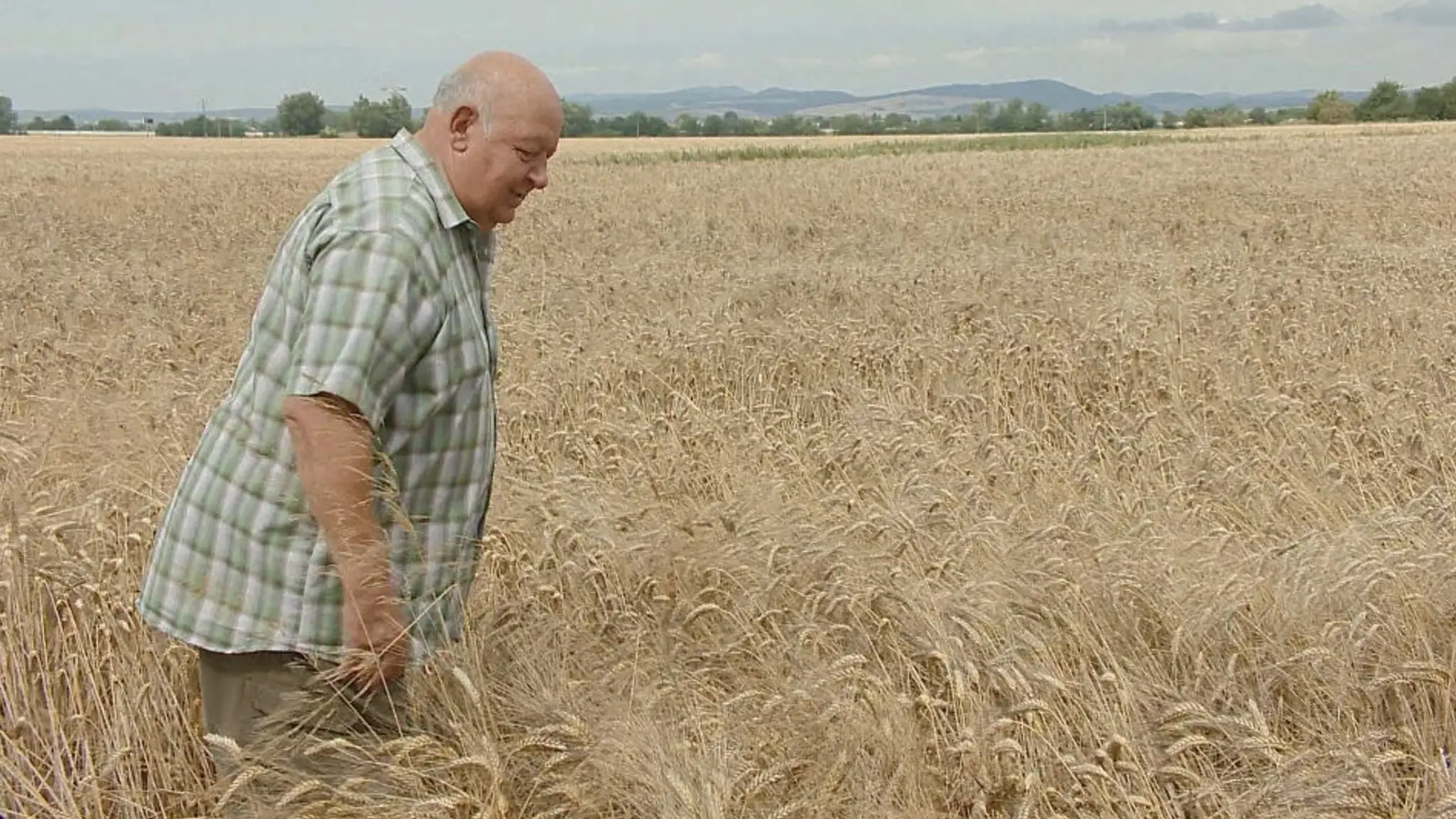 Poľnohospodár Ján Bitter je na poli od rána do večera.