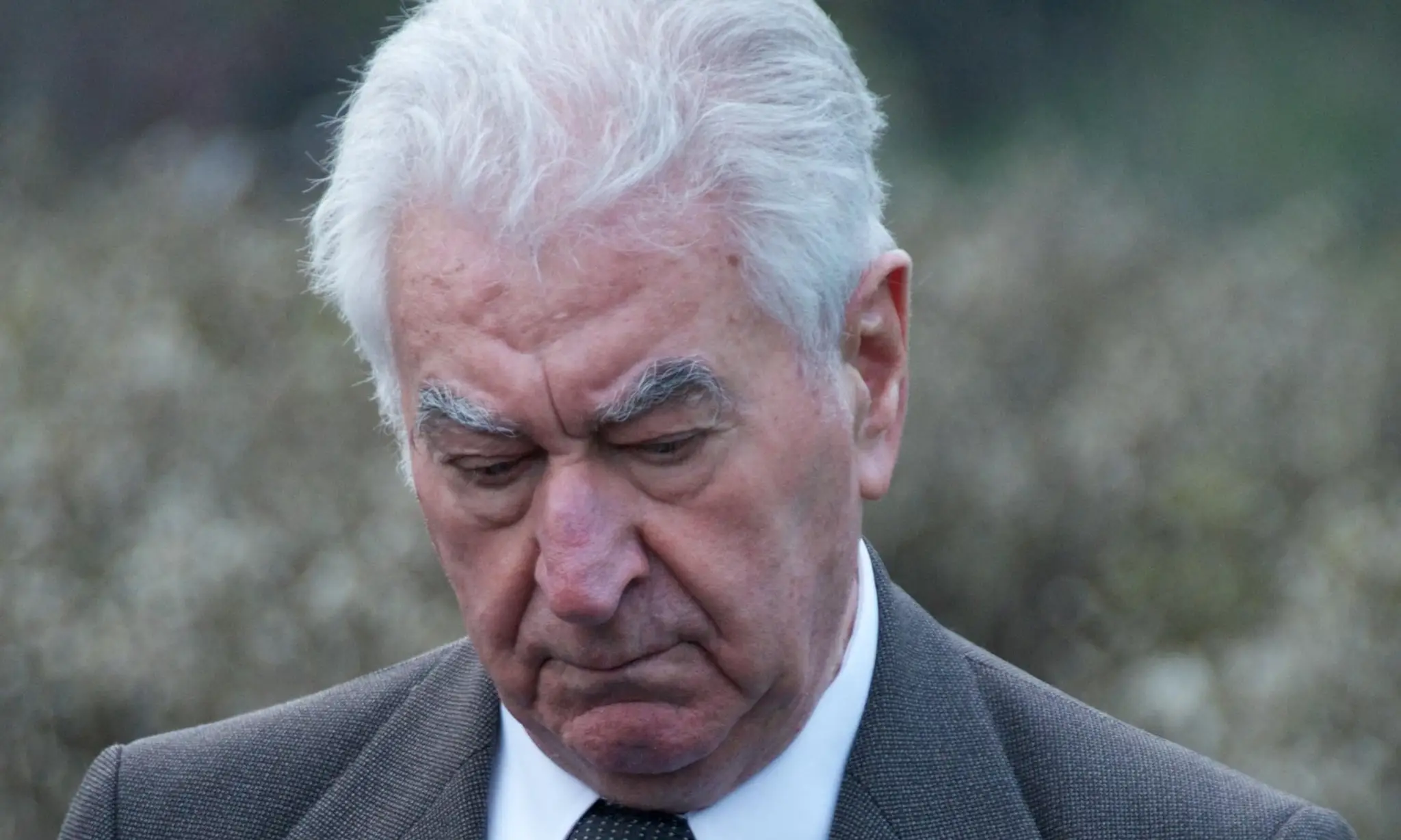 Anton Srholec.