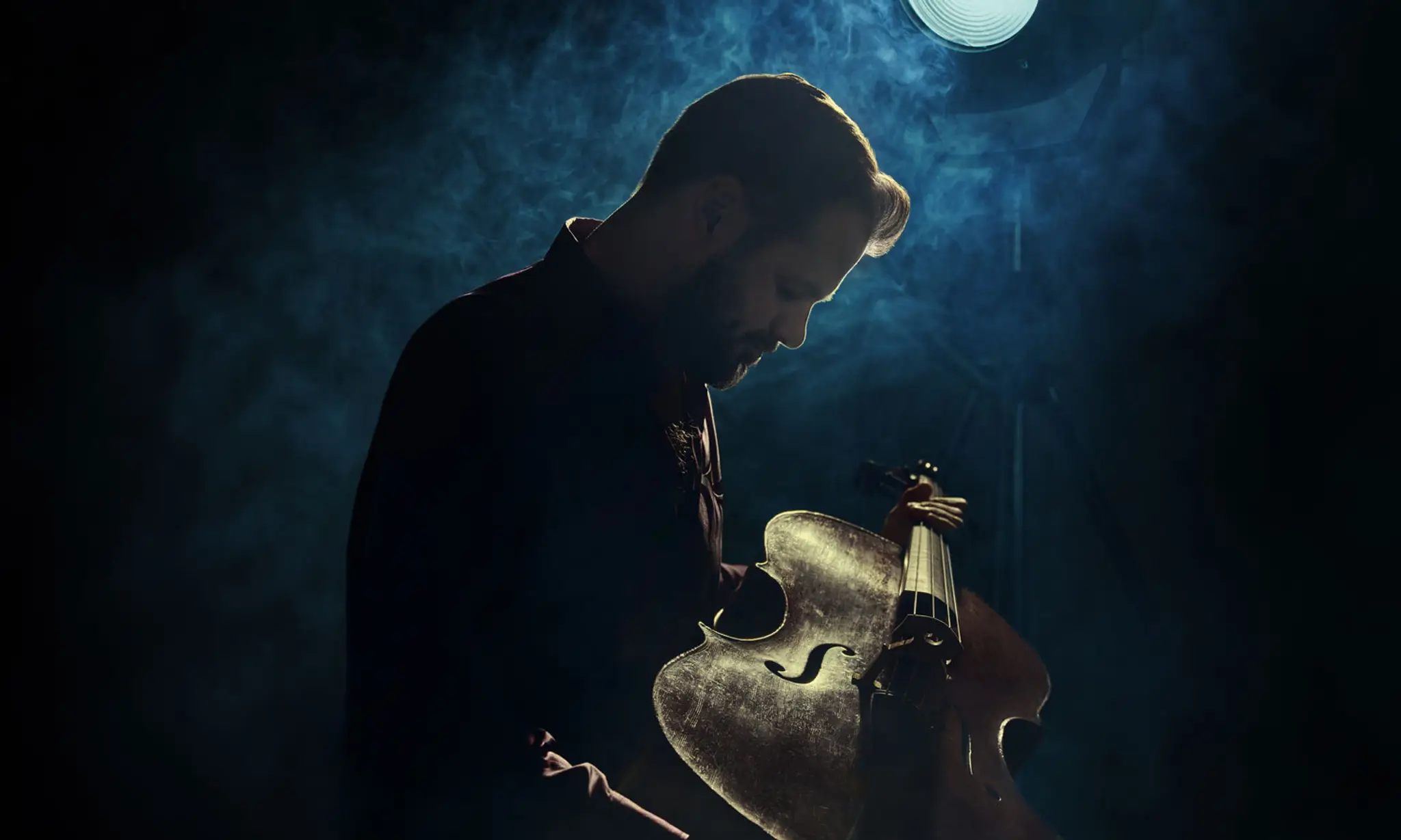 Hauser