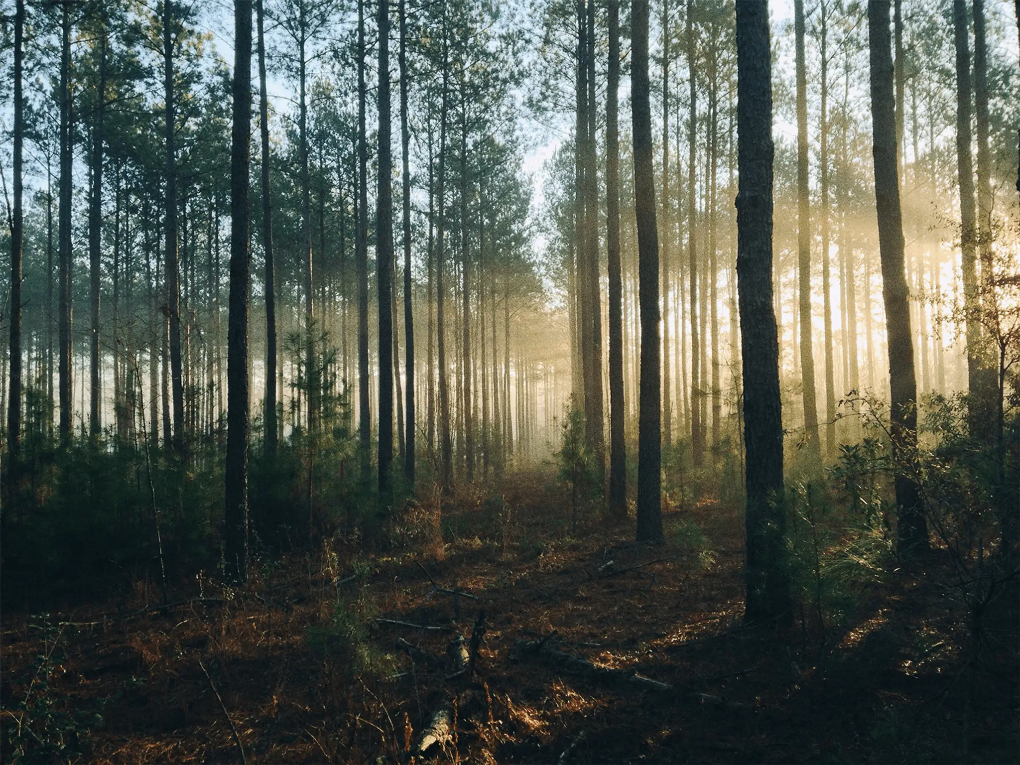 Prekvapivé zdroje uhlíkovej stopy, ktoré by ste zrejme nečakali