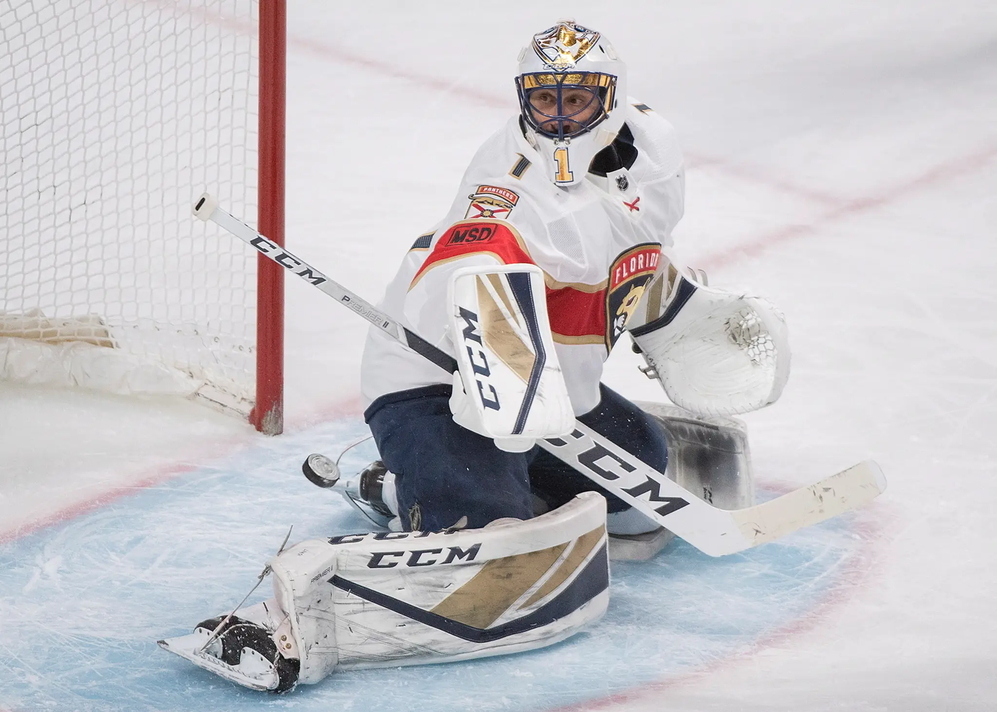 Gólman Floridy Roberto Luongo počas zápasu s Montrealom.