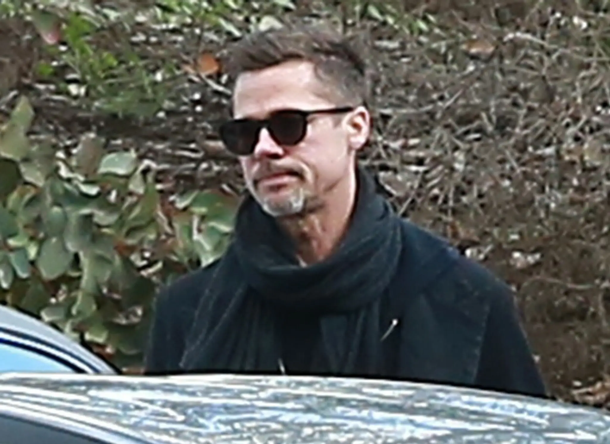 Nech už nechudne! Brad Pitt je už len svojím tieňom