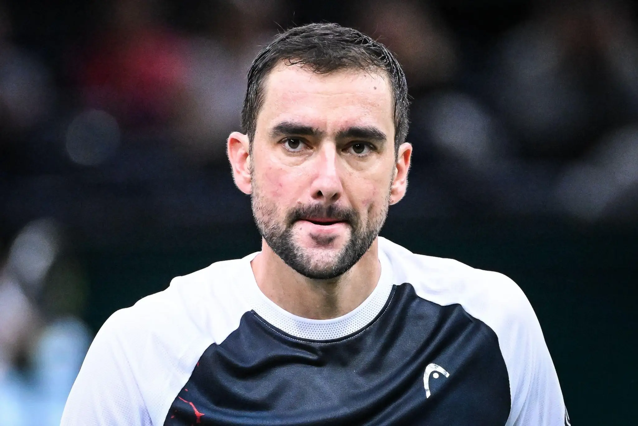 Marin Čilič