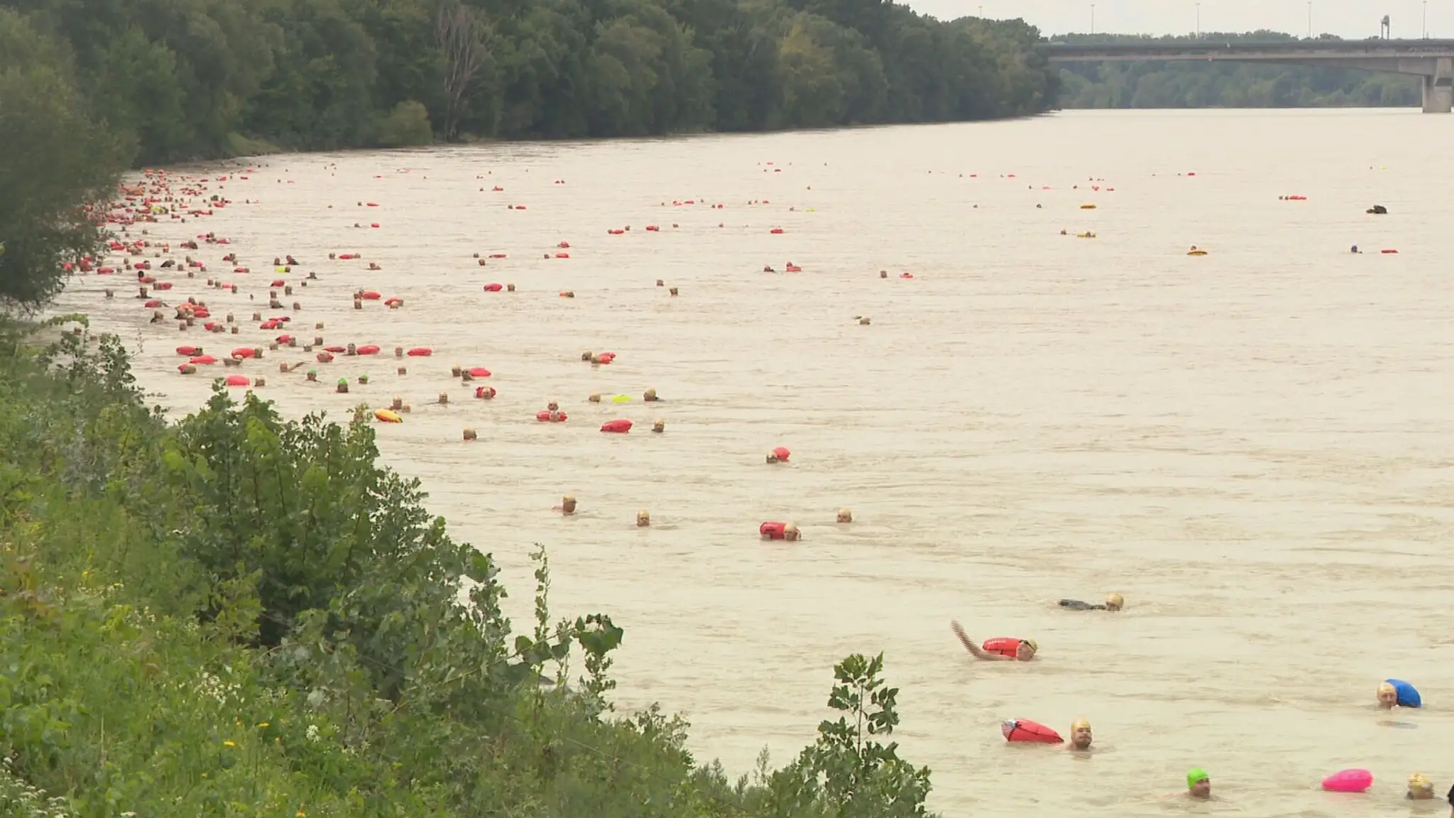 Trans Danube Swim 2024