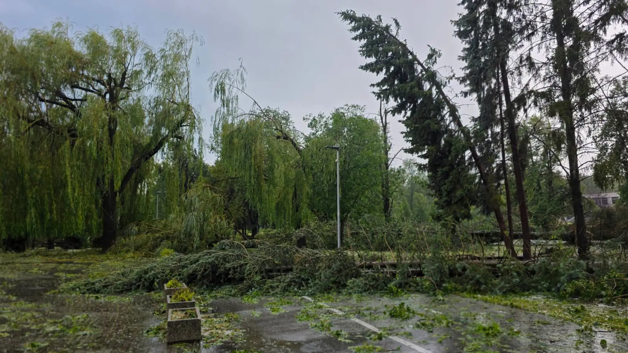 Viacero stromov vyvalilo alebo zlomilo.
