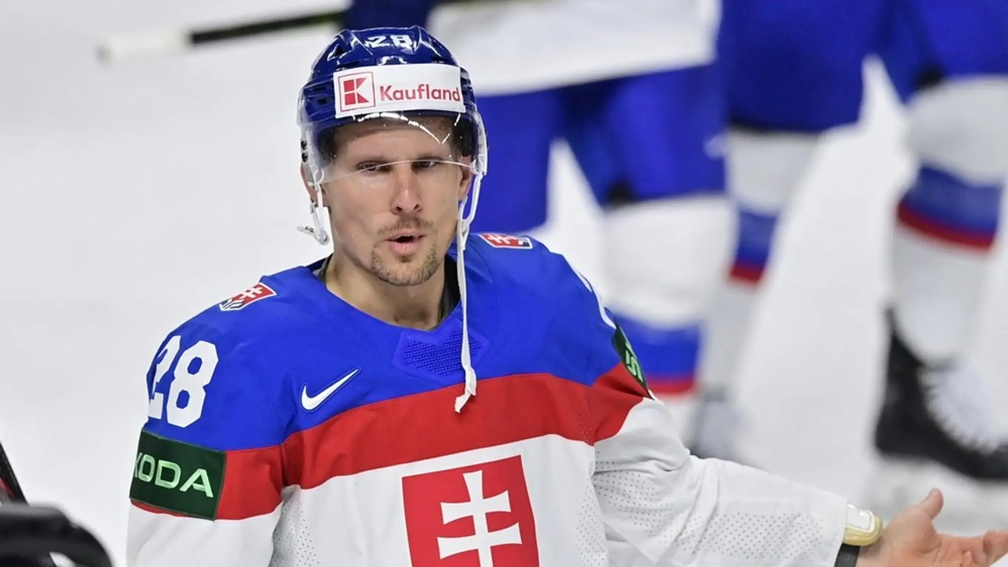 Richard Pánik smeruje do KHL