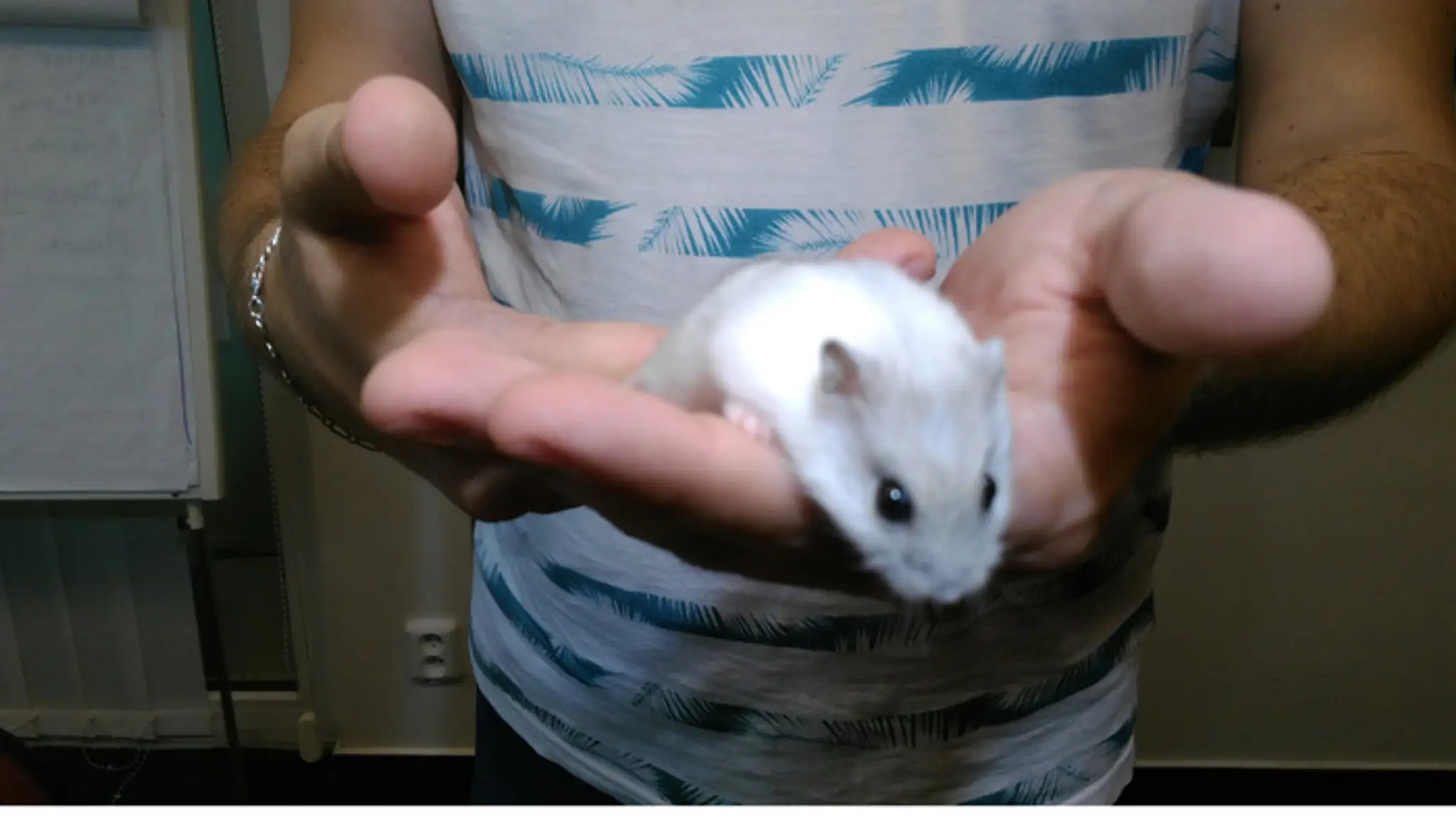Koľko správnych výsledkov predpovie najnovší člen rodiny televízie Markíza?