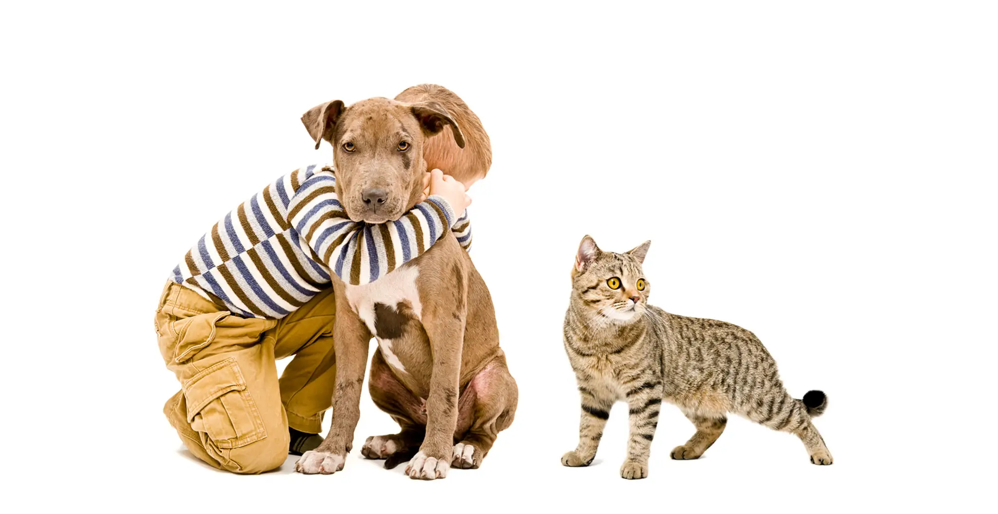 shutterstock_367609610.jpg