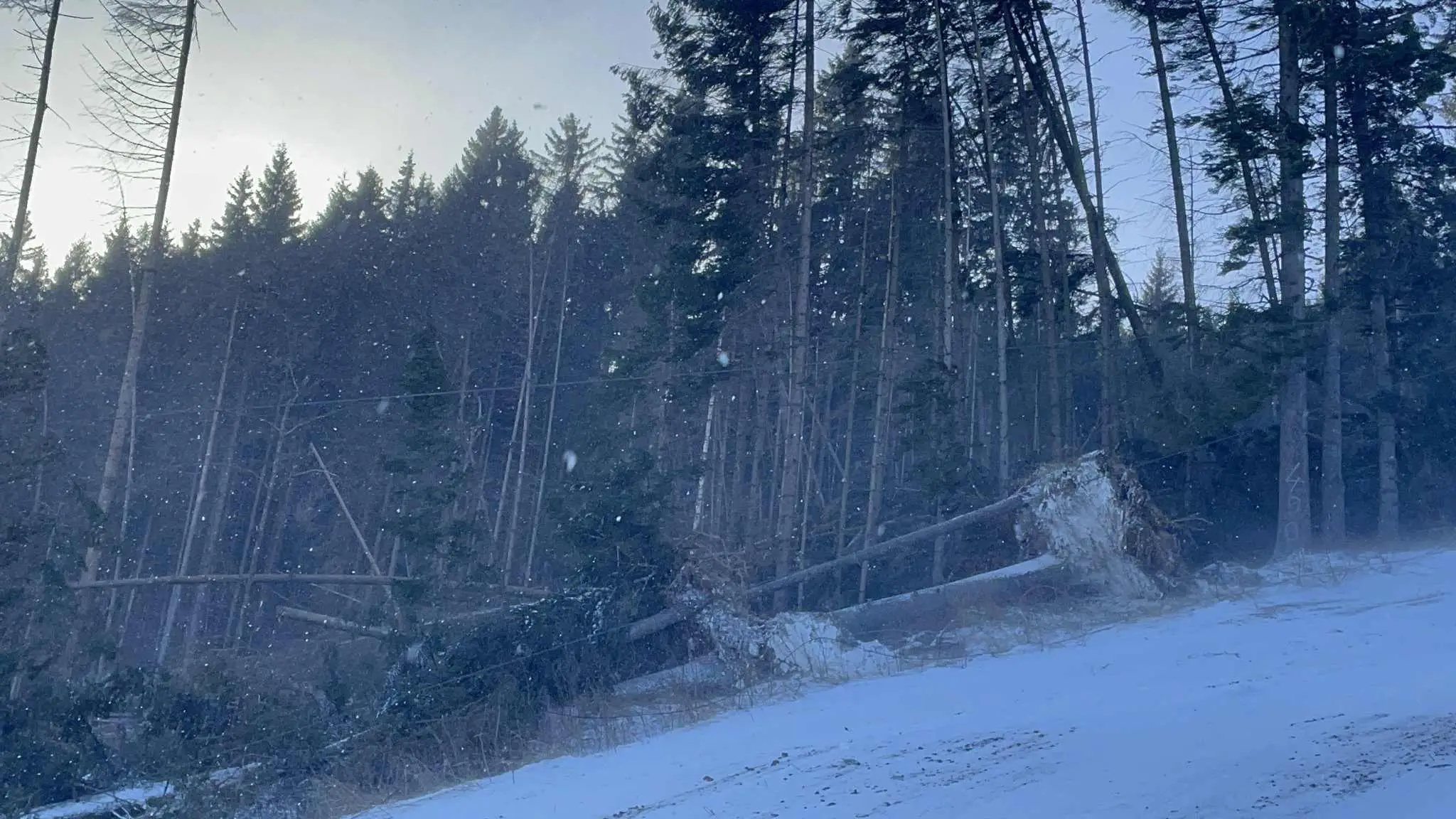 Silný vietor napáchal škody v SKI Resorte Smrečiny.