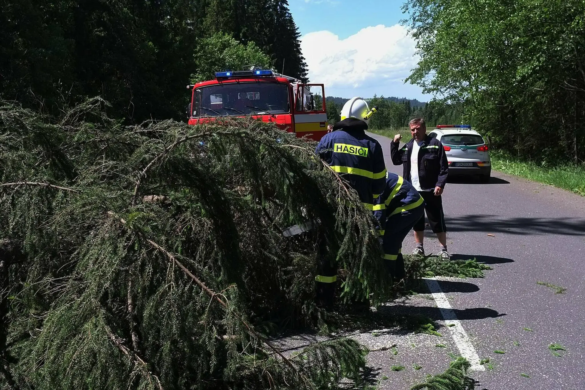 Na snímke hasiči a dobrovoľní hasiči zo Ždiaru odpratávajú popadané stromy z cesty