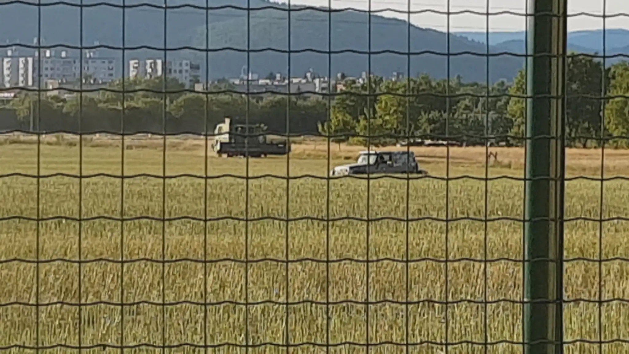 Nevidiaca Romana je na ulici. Na Rumuna, ktorý ju týral, sme zavolali políciu