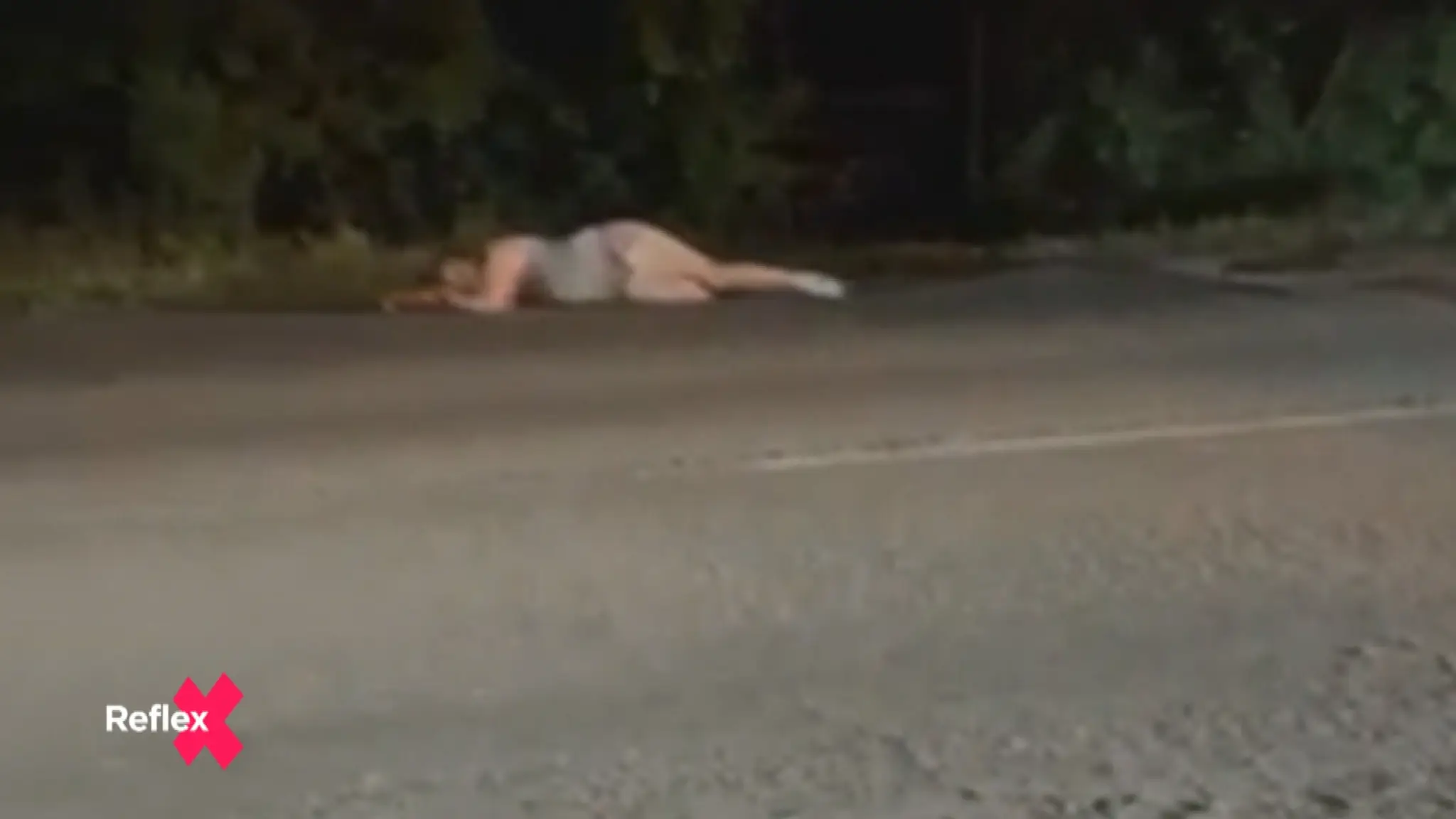 Postrach nielen pre vodičov: Žena ležiaca na ceste (pokračovanie)
