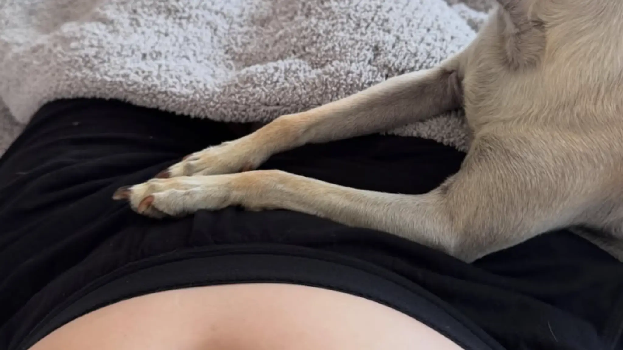 Kaley Cuoco je druhýkrát tehotná. 