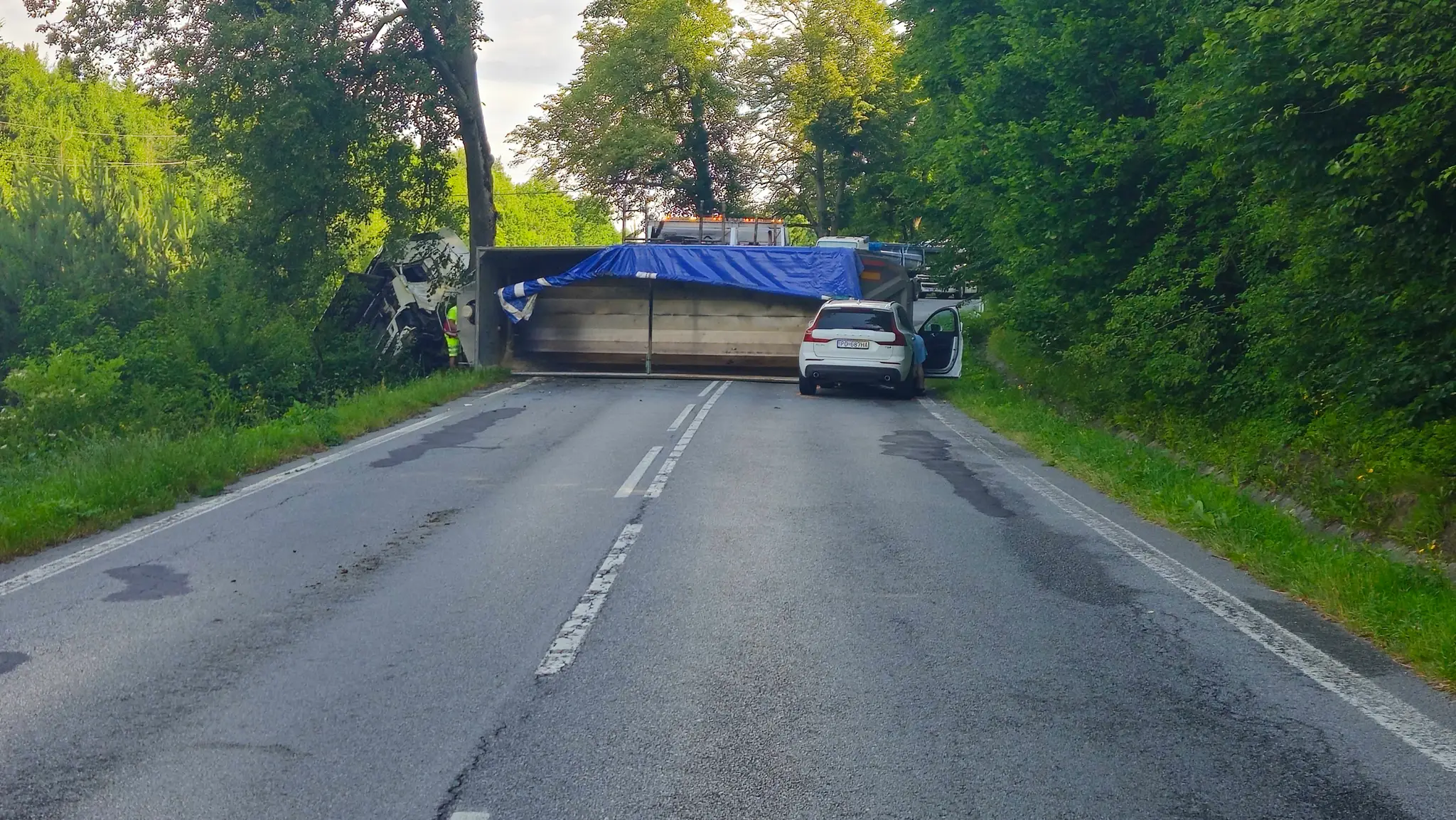 Kamionista zahynul po náraze do stromu.