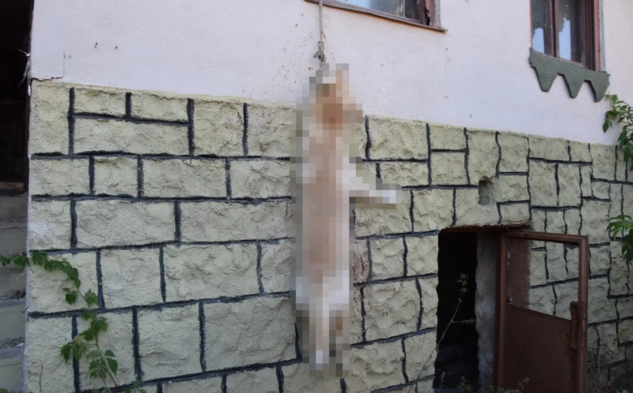 Pes chcel ujsť, pri skoku sa obesil.