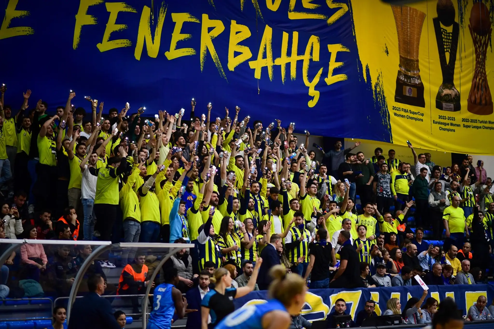 Fanúšikovia Fenerbahce Istanbul
