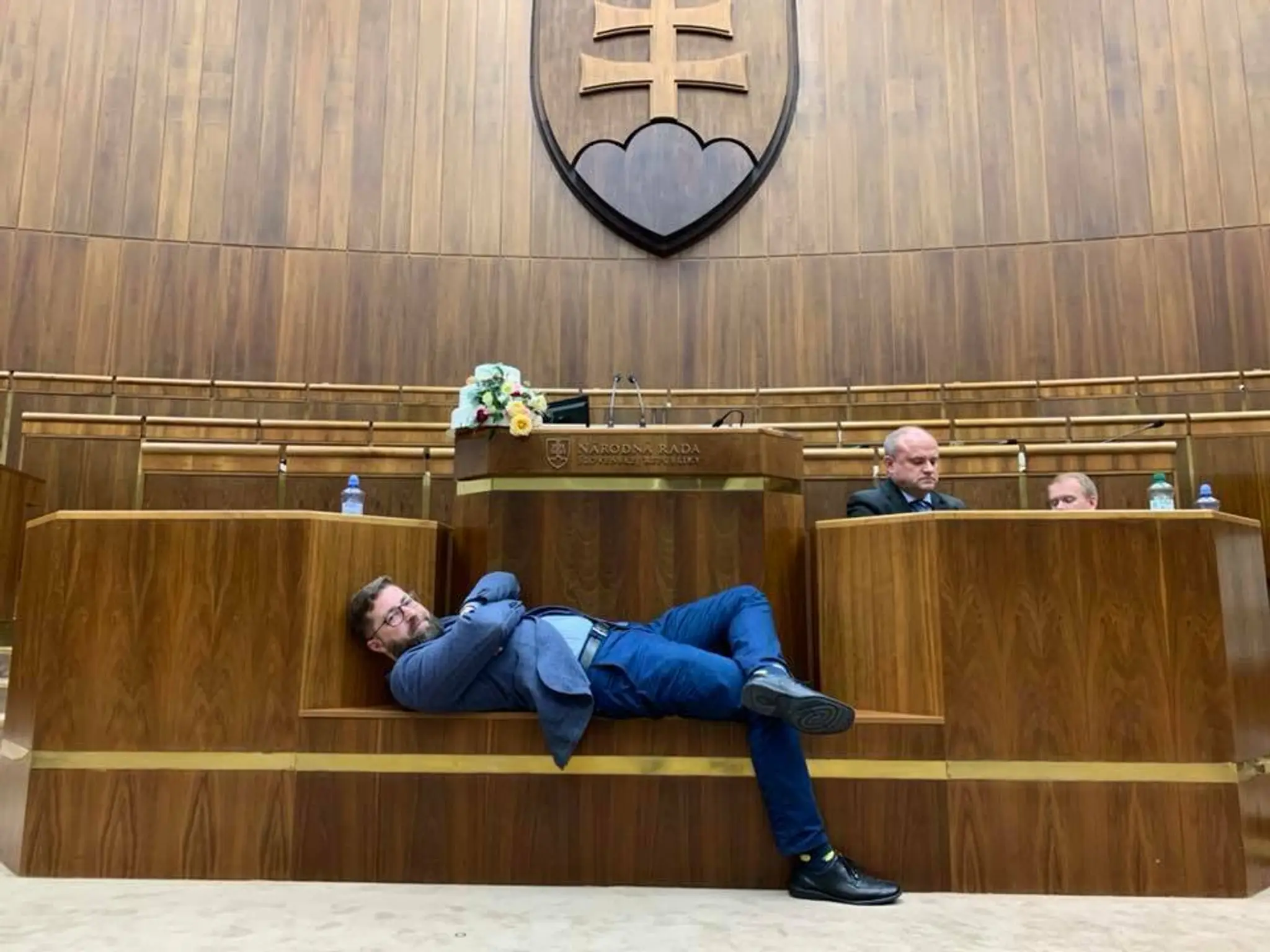 Dve krabice plné šteniat neapolského mastiffa. 