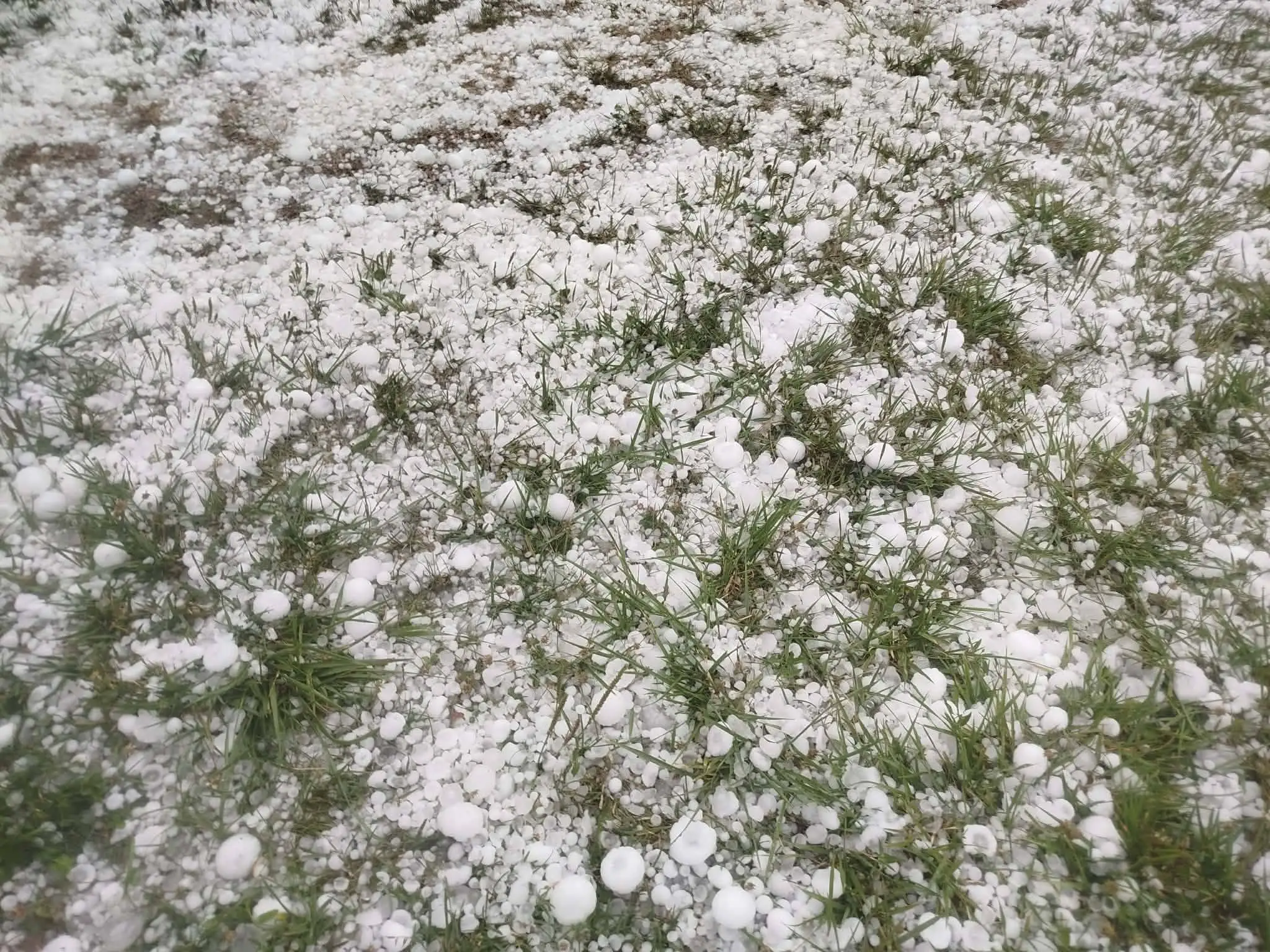 Krúpy napáchali škody v Lekárovciach.