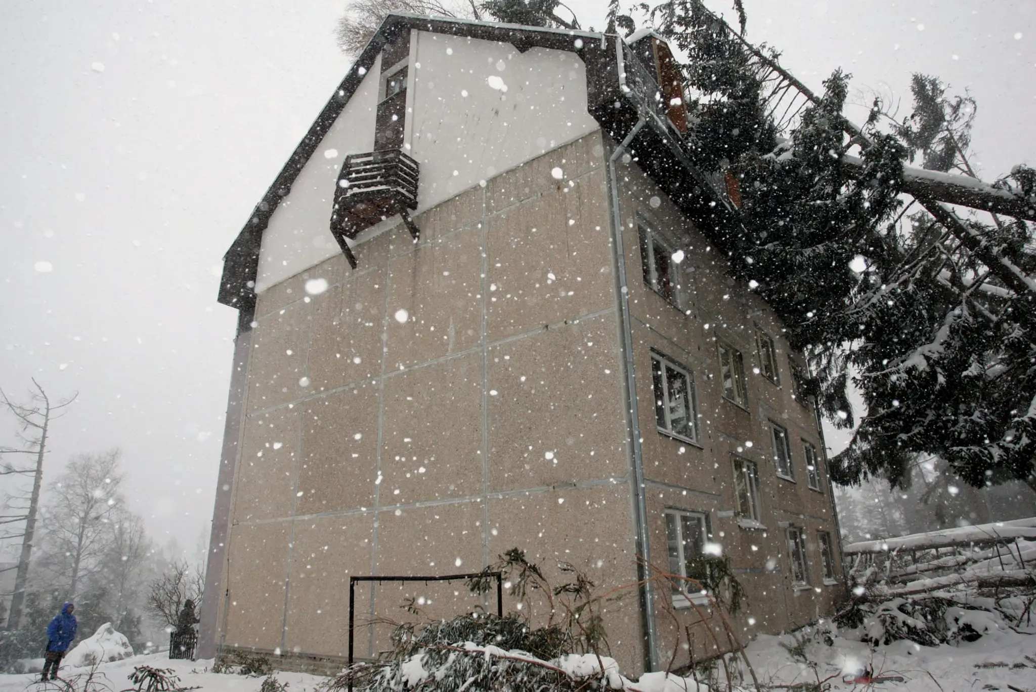 Odstraňovanie škôd po víchrici