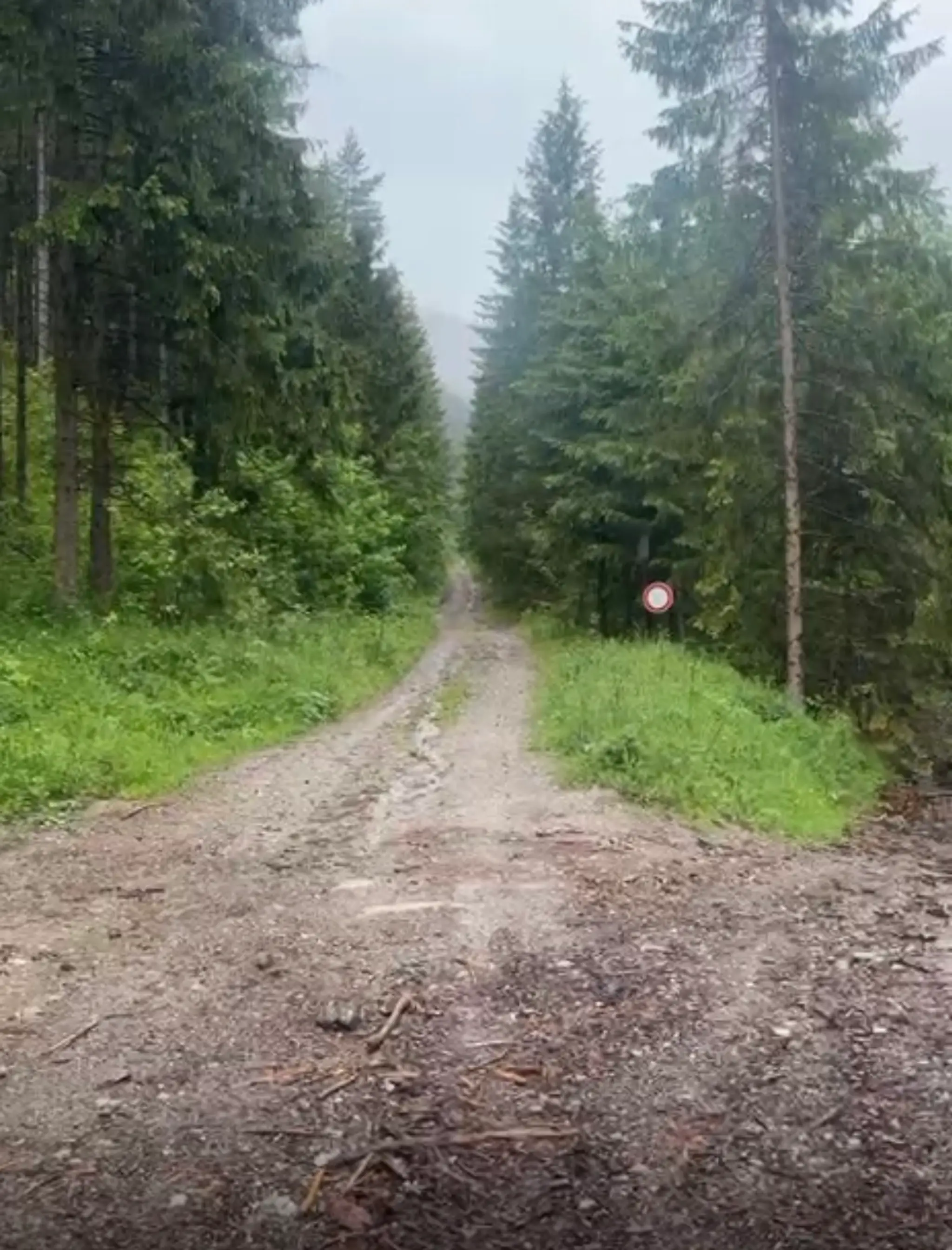 V doline pod Liptovským hradom napadol medveď lesného pracovníka.