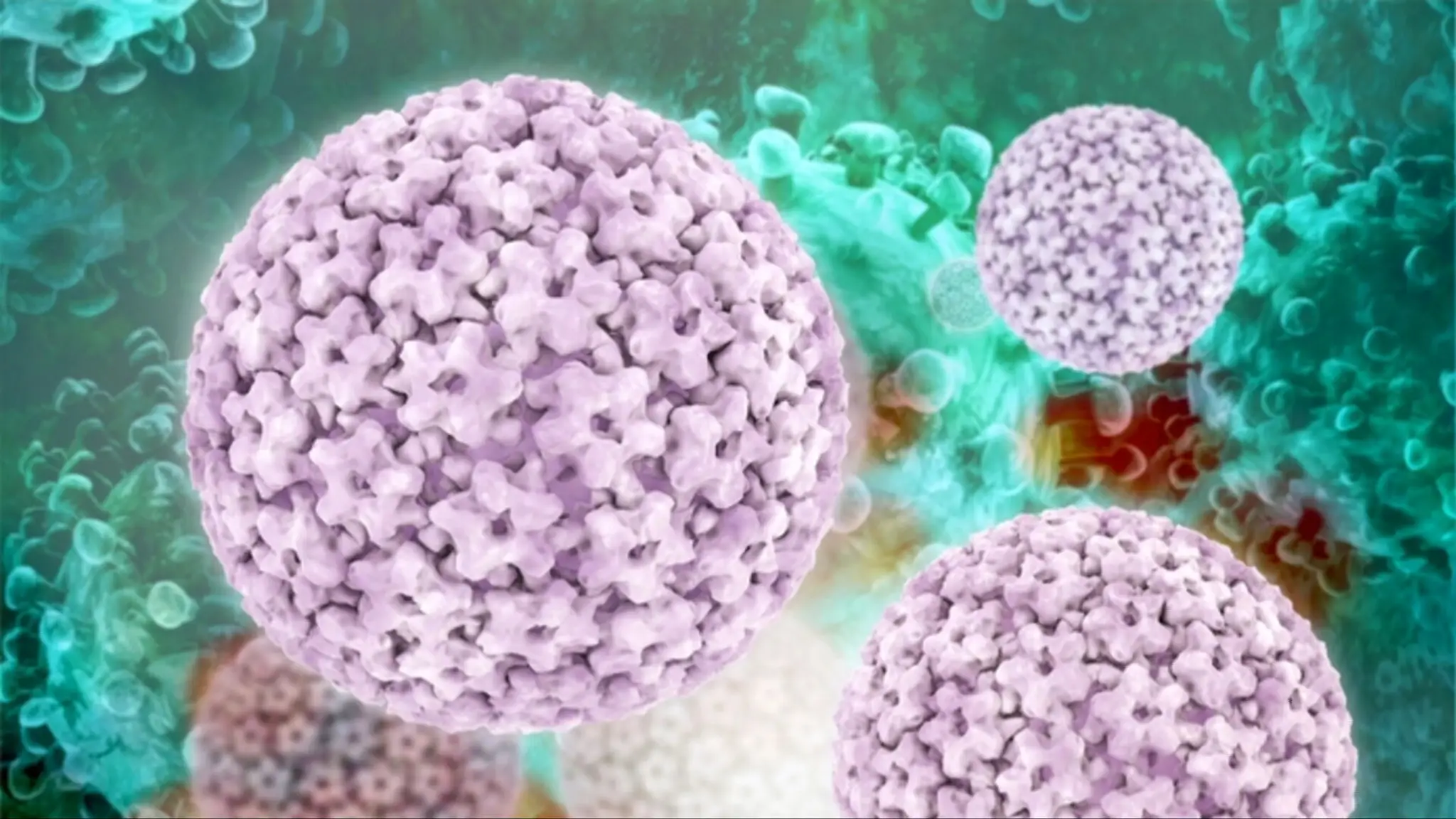 HPV vírus.