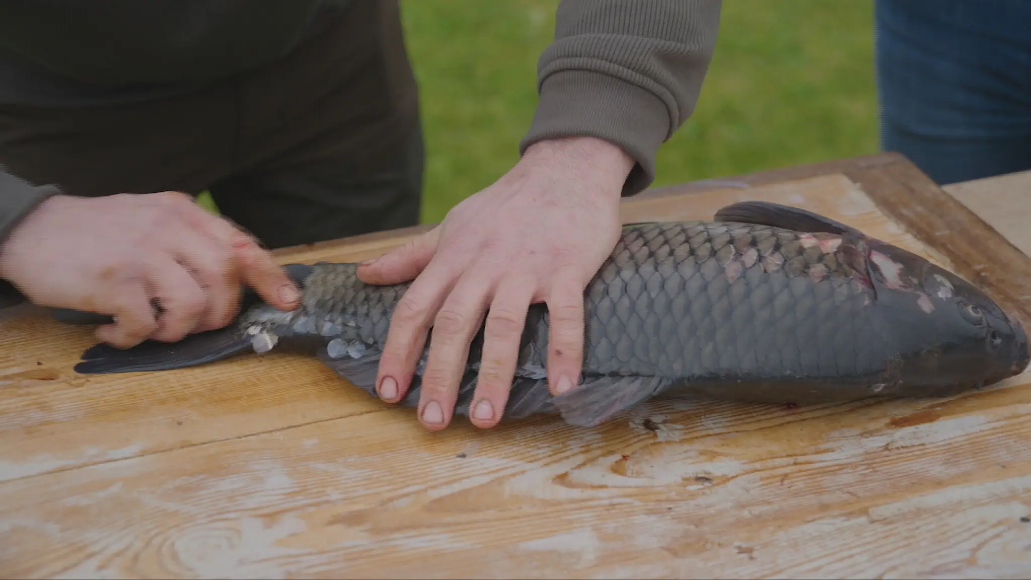 Čistenie kapra