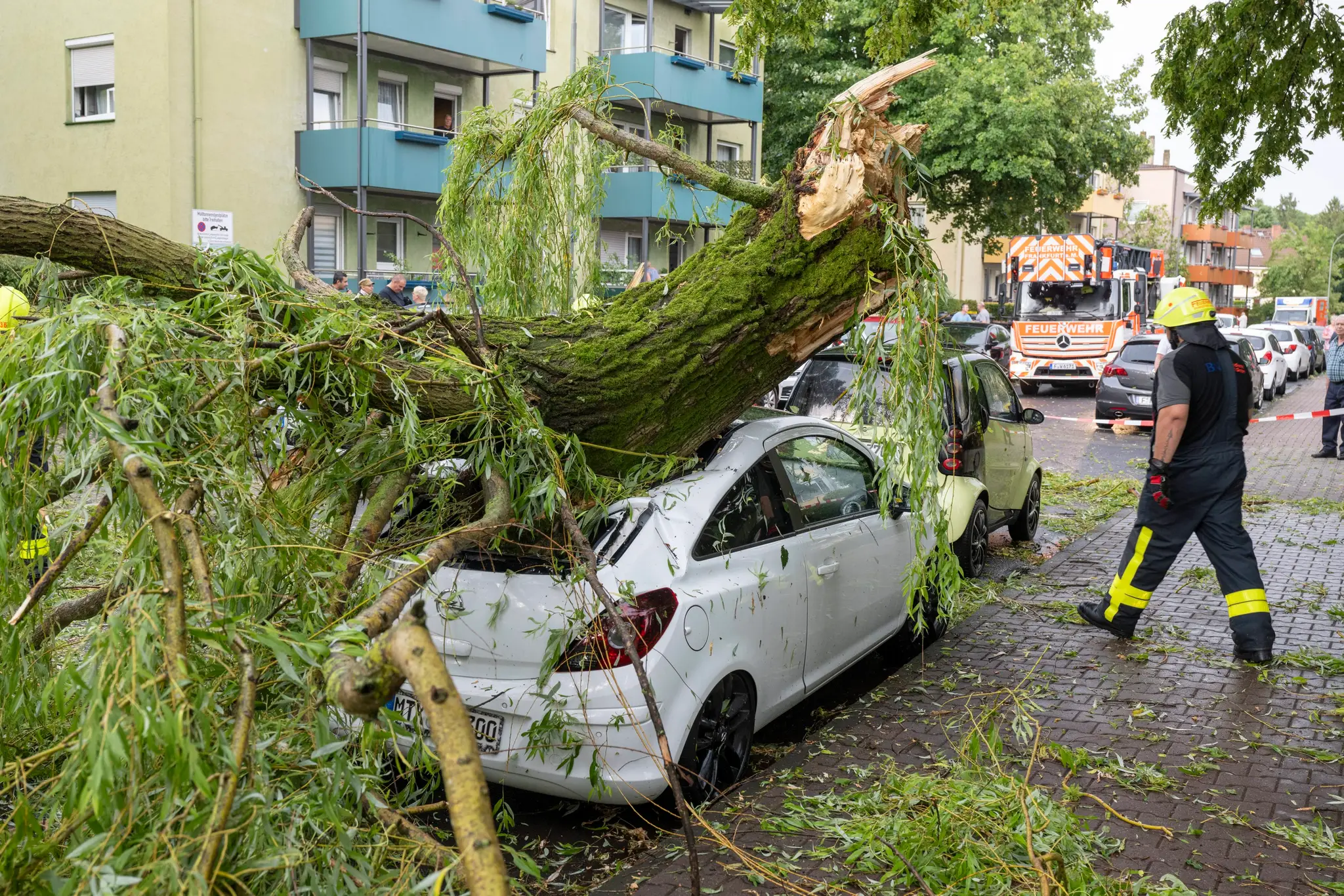 Strom spadnutý na auto.