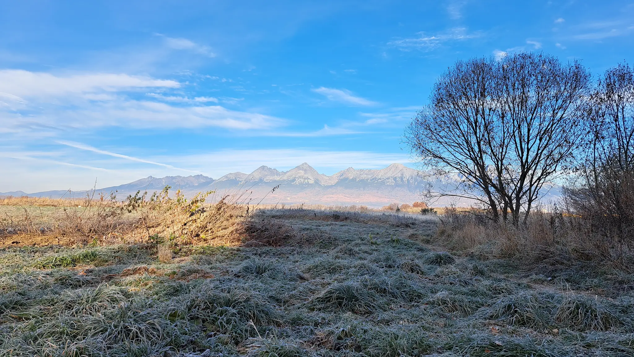 Na snímke zamrznutá tráva a v pozadí Vysoké Tatry počas prízemného mrazu v Poprade.