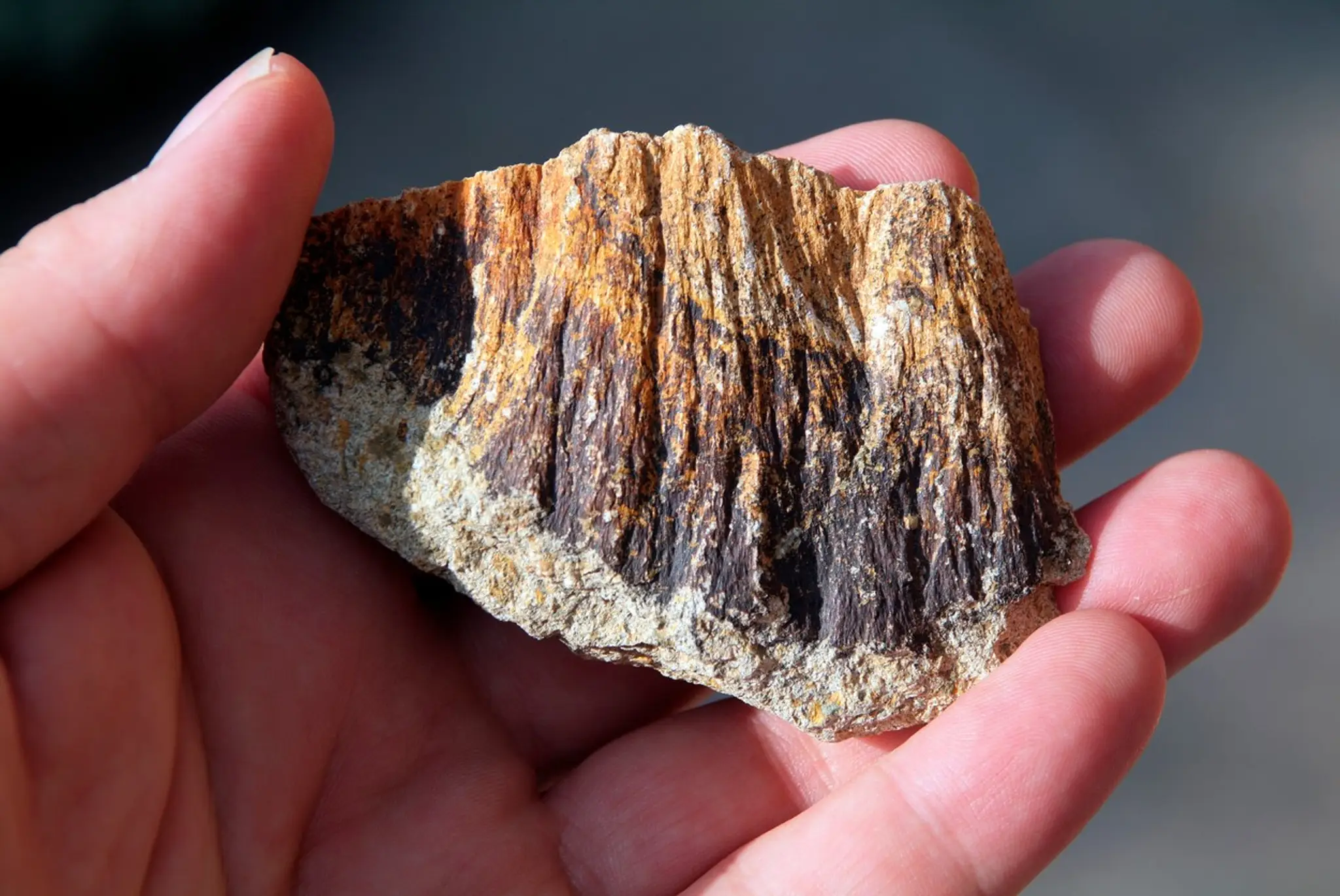 Meteorit 