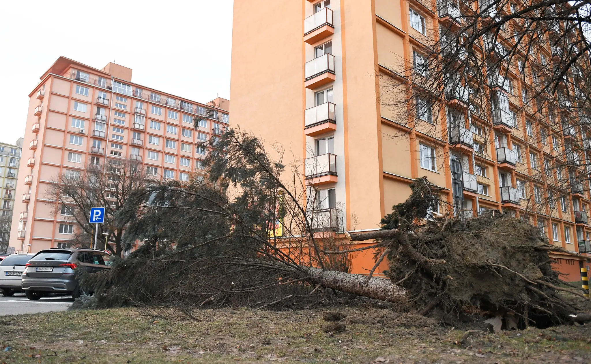 Škody po silnom vetre v Košiciach.