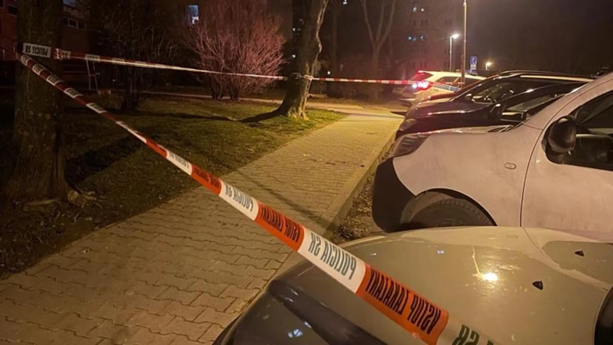 Útok psa na známom sídlisku.
