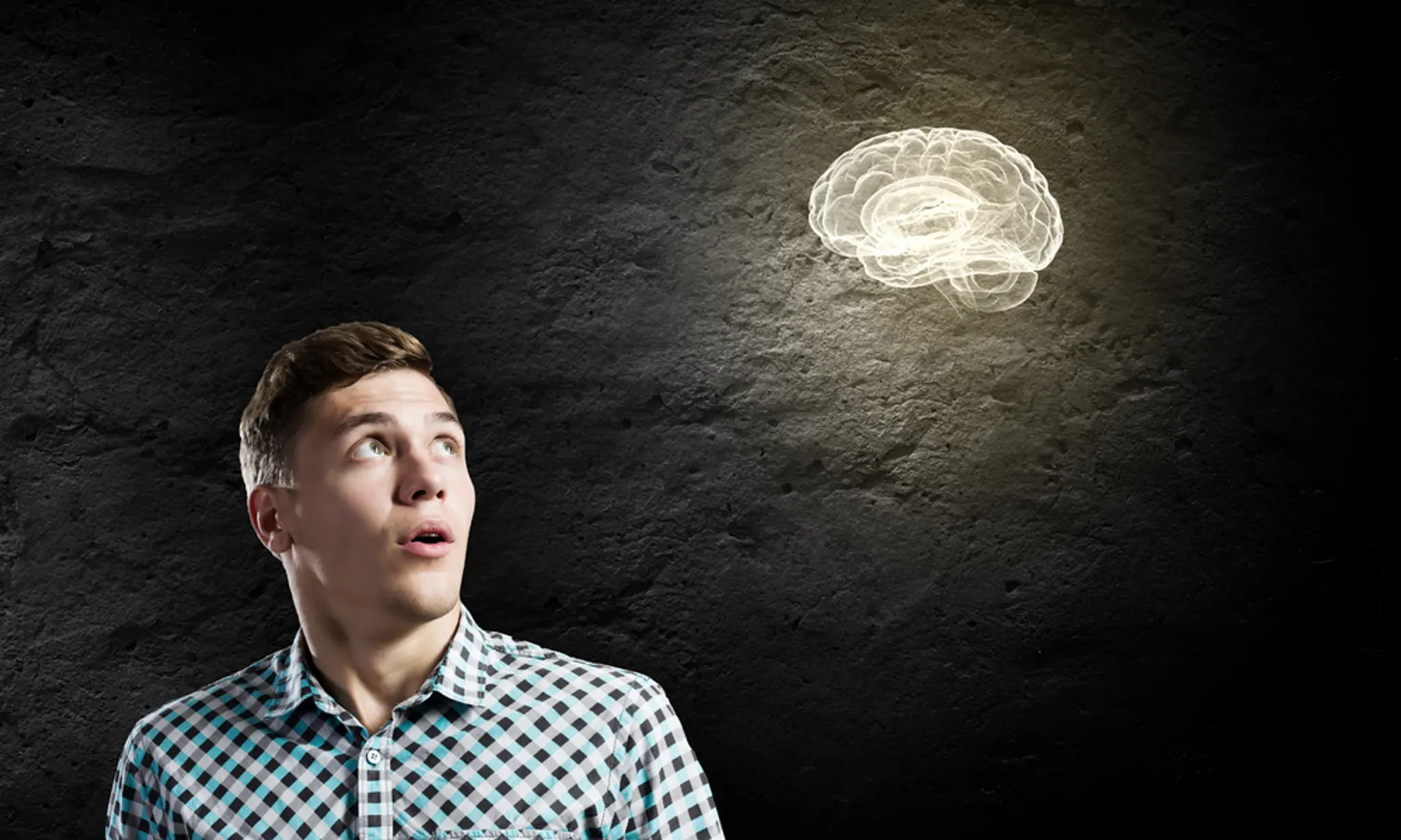 Inteligencia