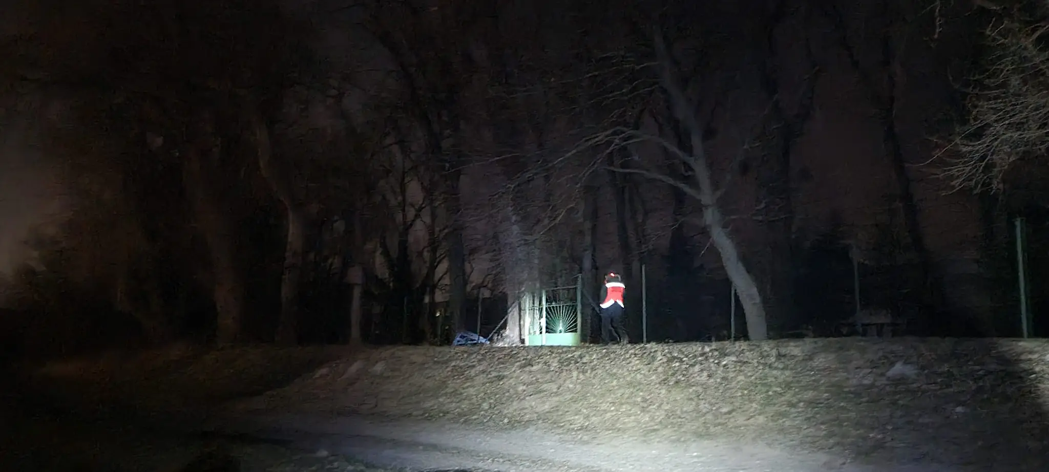 Pátranie po Terézii