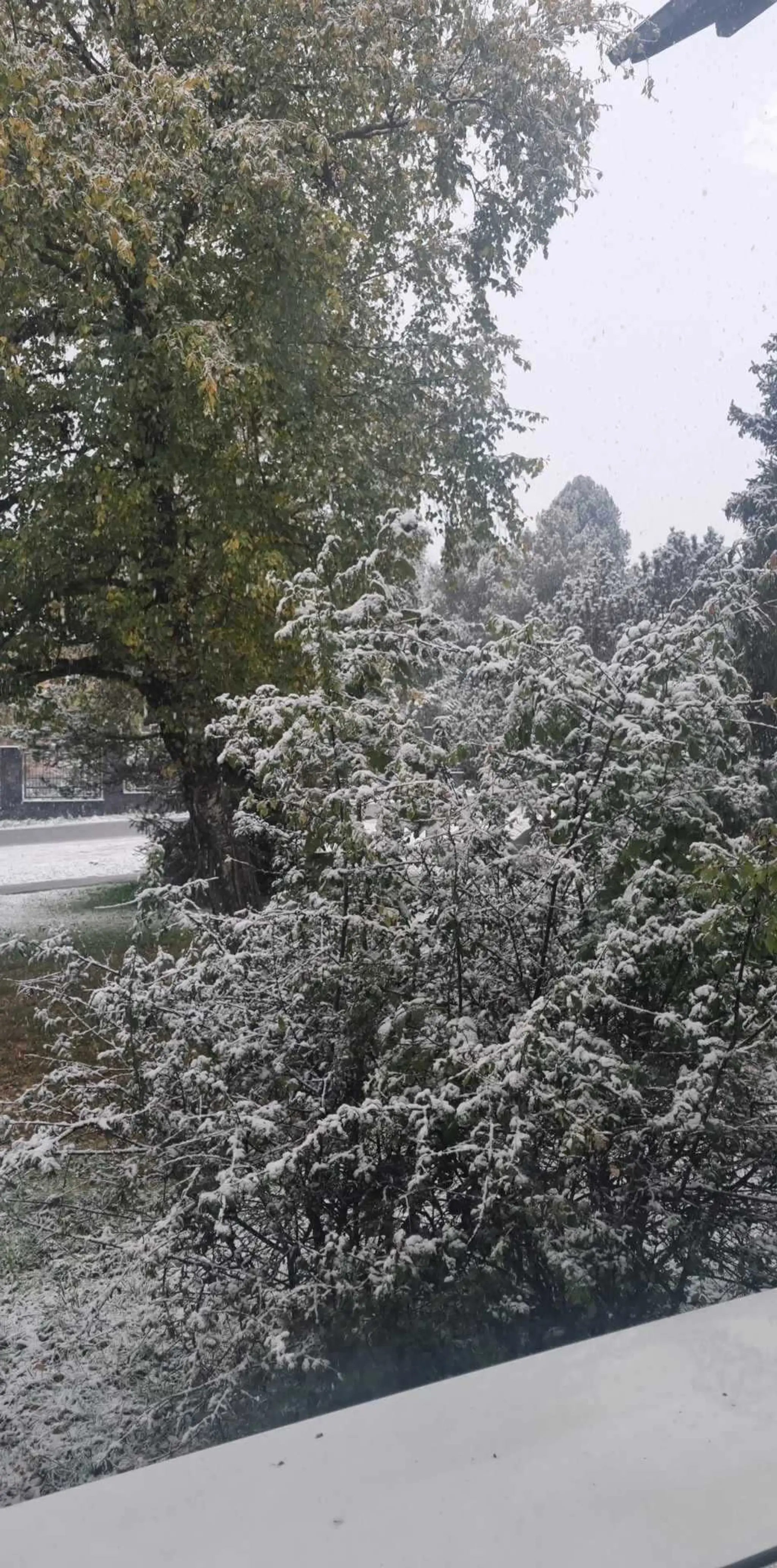 Zdenka, Tatranská Lomnica