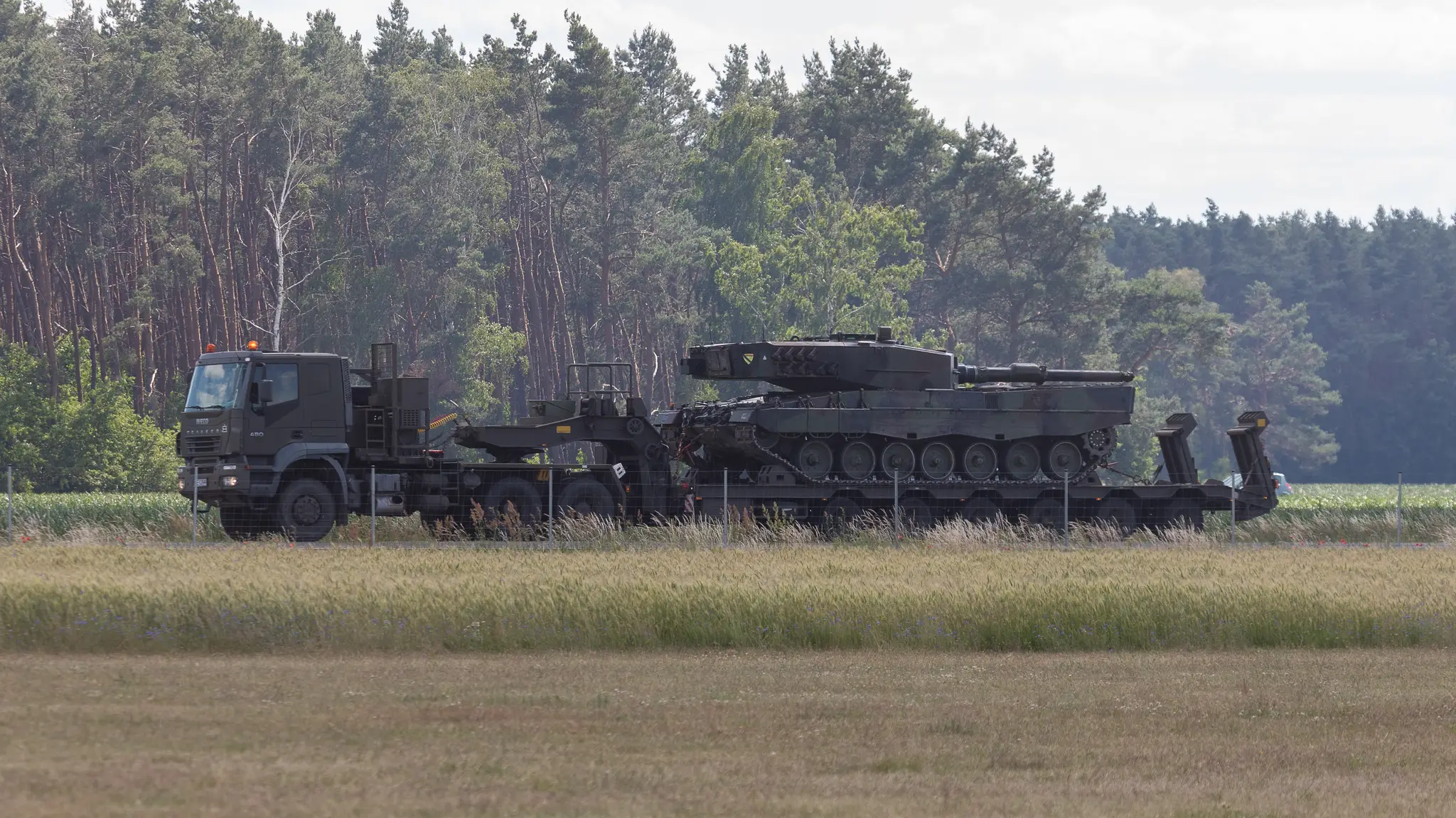 Tanky Leopard.