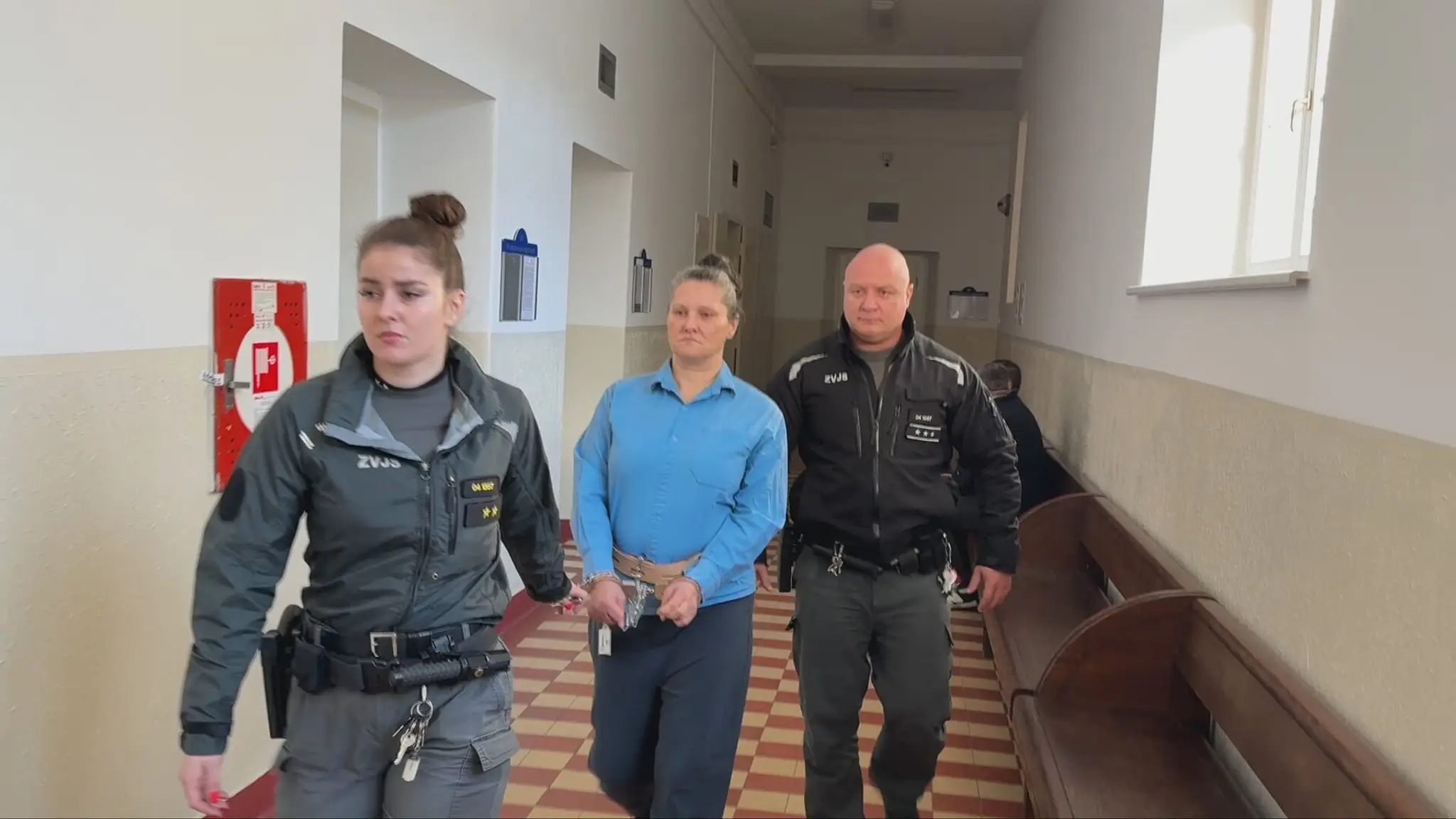 Žena, ktorá mala zabiť svojho partnera, sa postavila pred súd