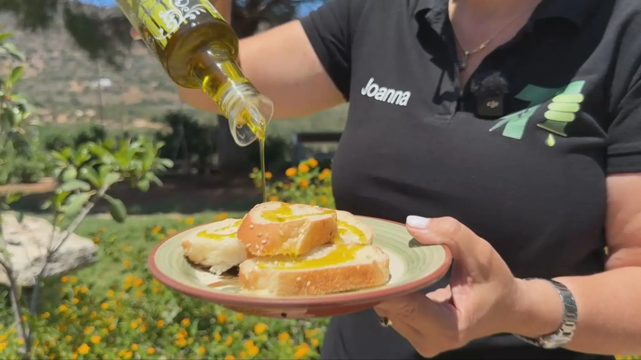 olivový olej