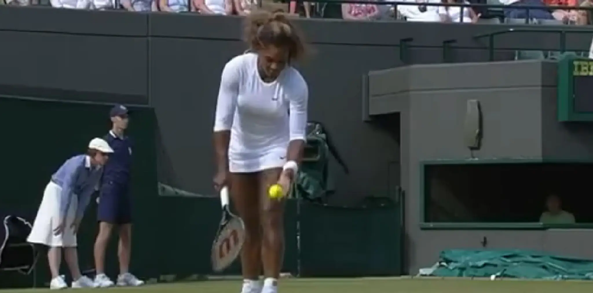 serena.jpg