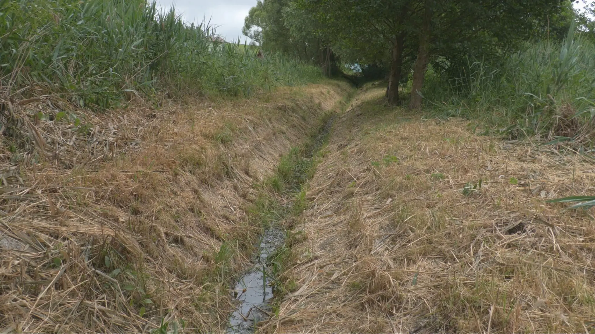 Vysušený potok