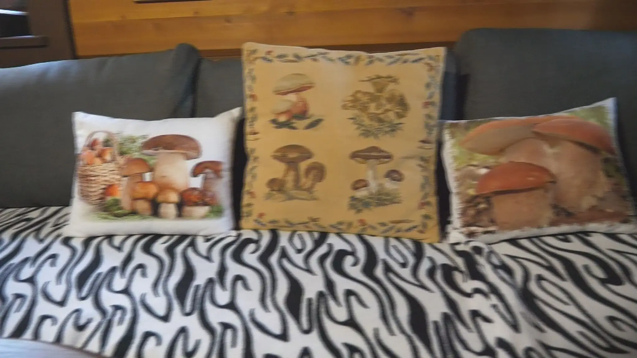 Hubár Július nás pozval do svojej chatky.