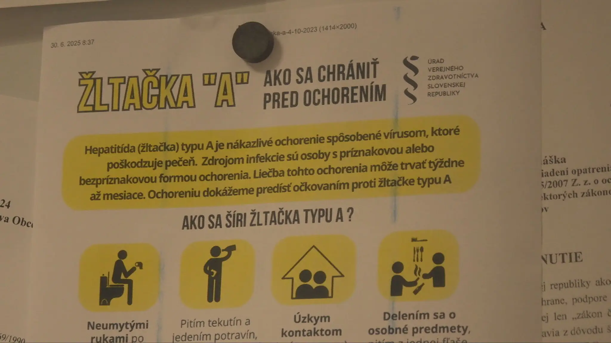 Žltačka - ilustračná snímka