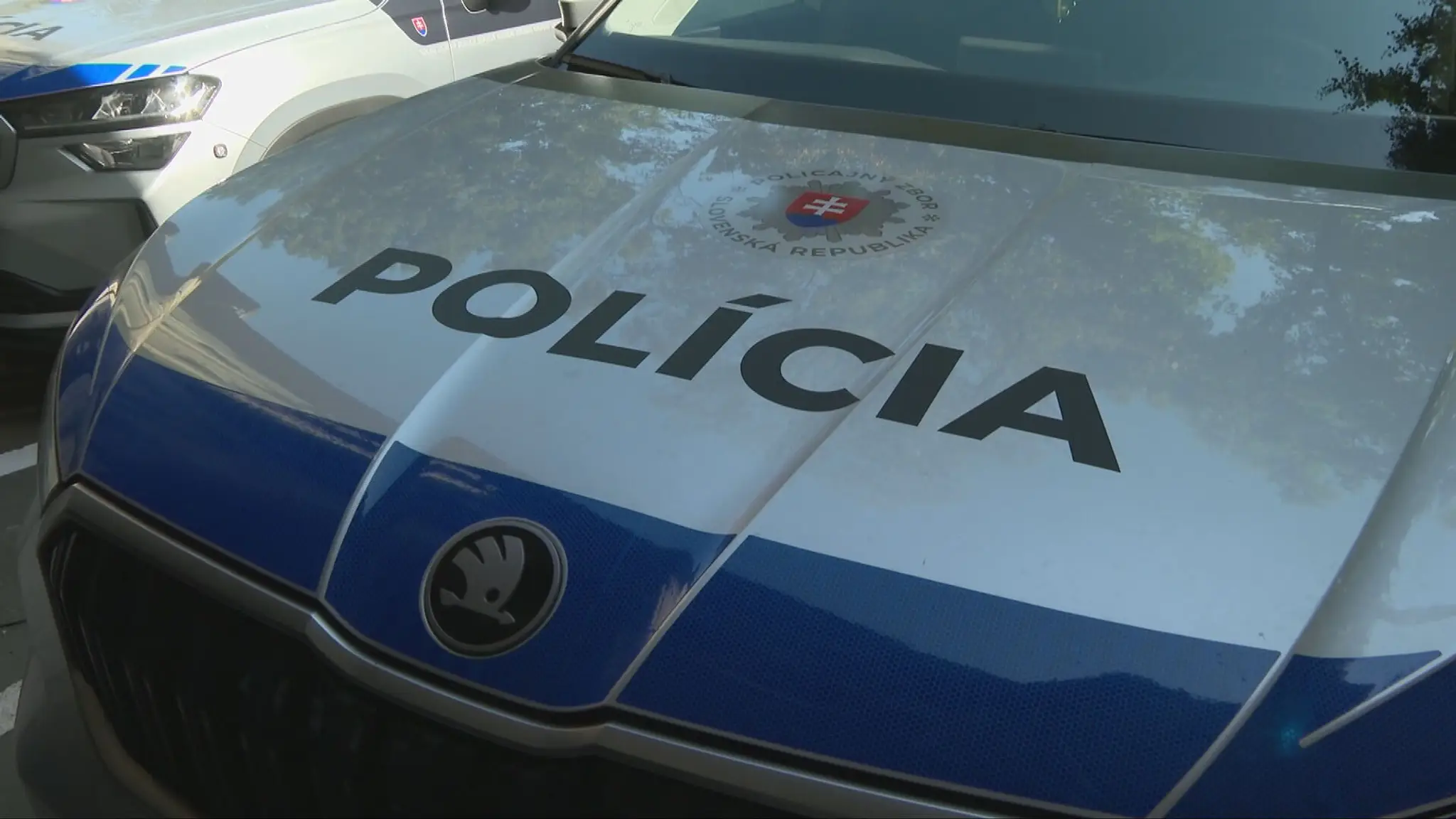 Polícia ilustračka