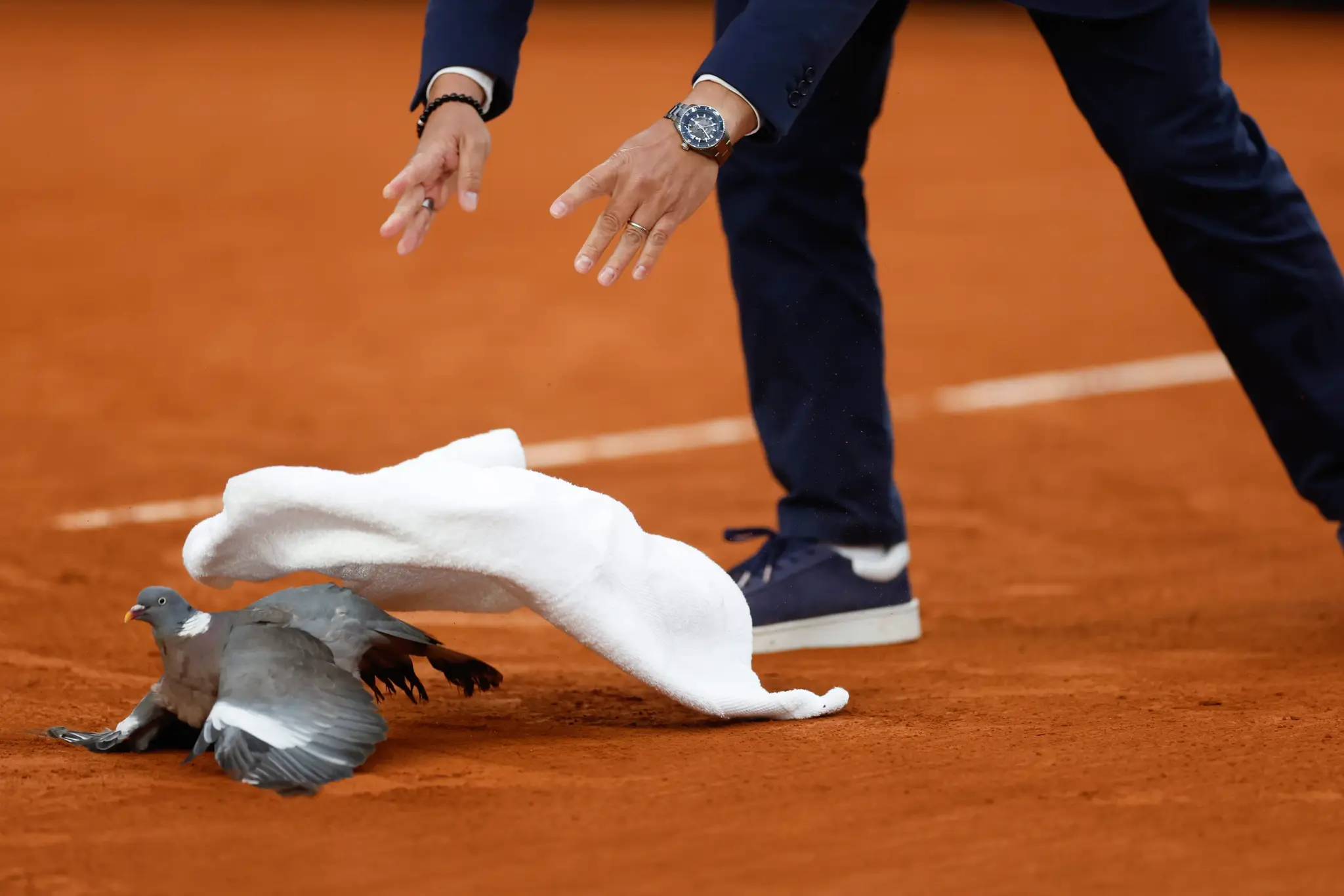 Rozhodca musel na Roland Garros riešiť aj netradičnú situáciu.