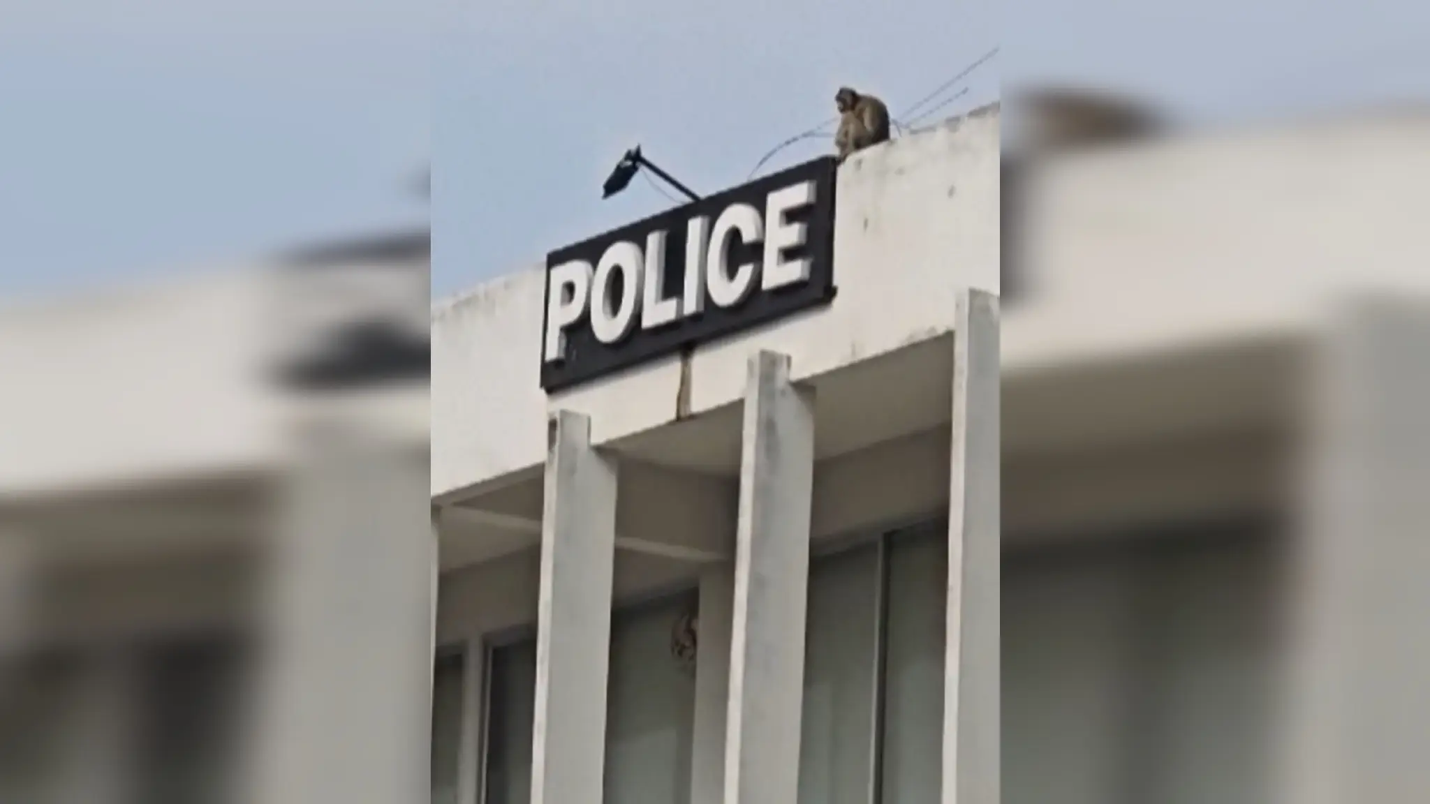 Policajnú stanicu v Thajsku napadlo 200 opíc